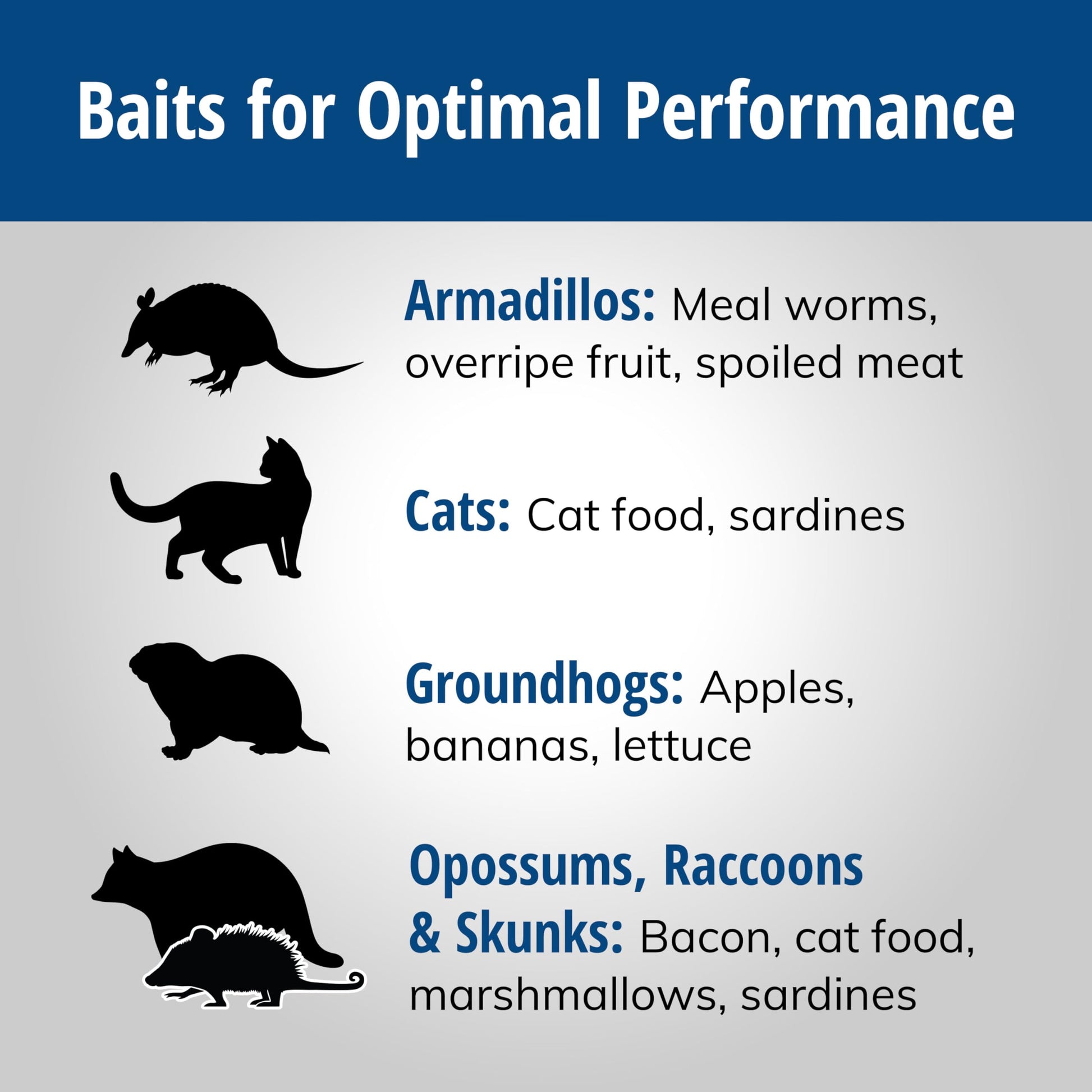 HAVAHART 1079SR Large 1-Door Humane Catch and Release Live Animal Trap Cage - Live Raccoon Trap, for Bobcats, Beavers, Dogs, & More