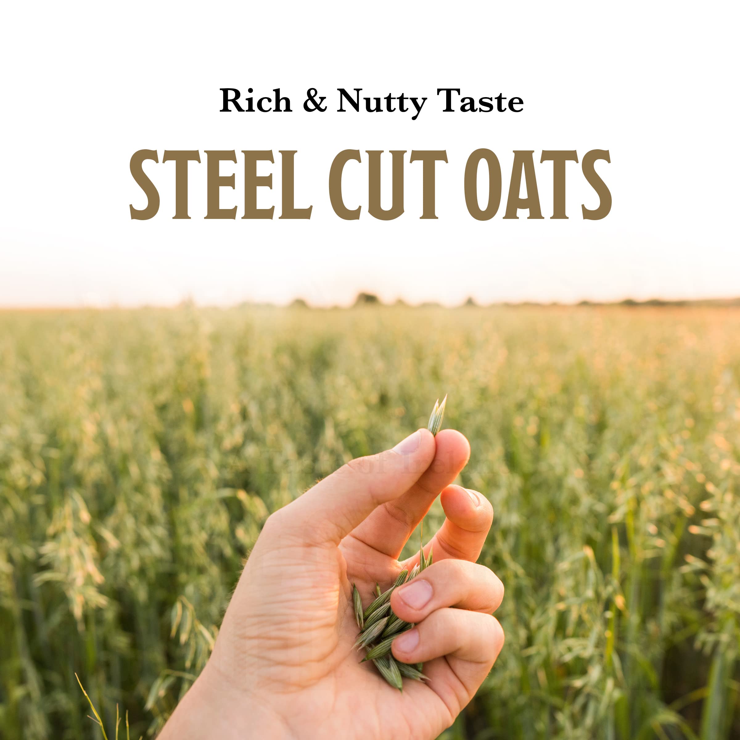 McCann's Irish Oatmeal, Traditional Steel Cut Oats, 28 Ounce