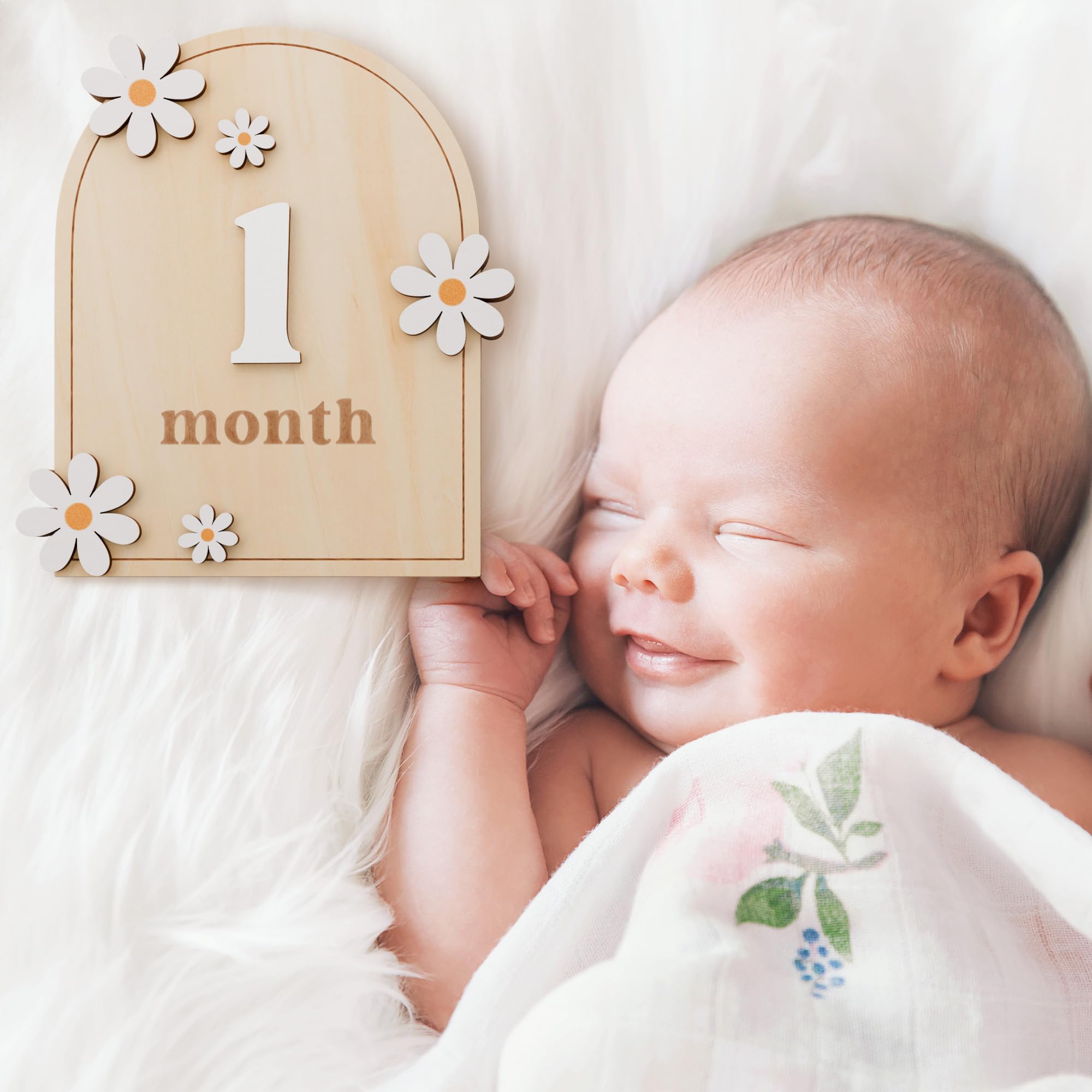 Beautiful Baby Monthly Milestone Cards - The Perfect Wooden Discs for Adorable Milestone Pictures of Your Newborn - 2X Reversible Arches Signs with Interchangeable Numbers Make a Great Shower Gift