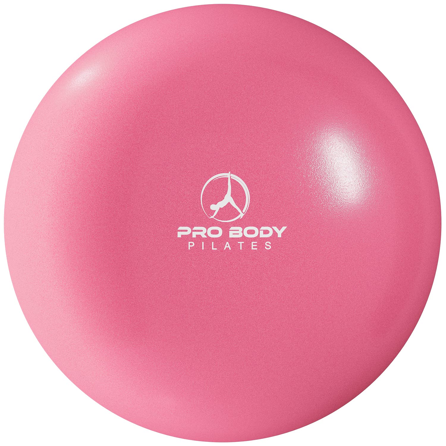 ProBody Pilates Ball Small Exercise Ball, 9 Inch Barre Ball, Mini Soft Yoga Ball, Workout Ball for Stability, Barre, Ab, Core, Physio and Physical Therapy Ball at Home Gym & Office (Blue)