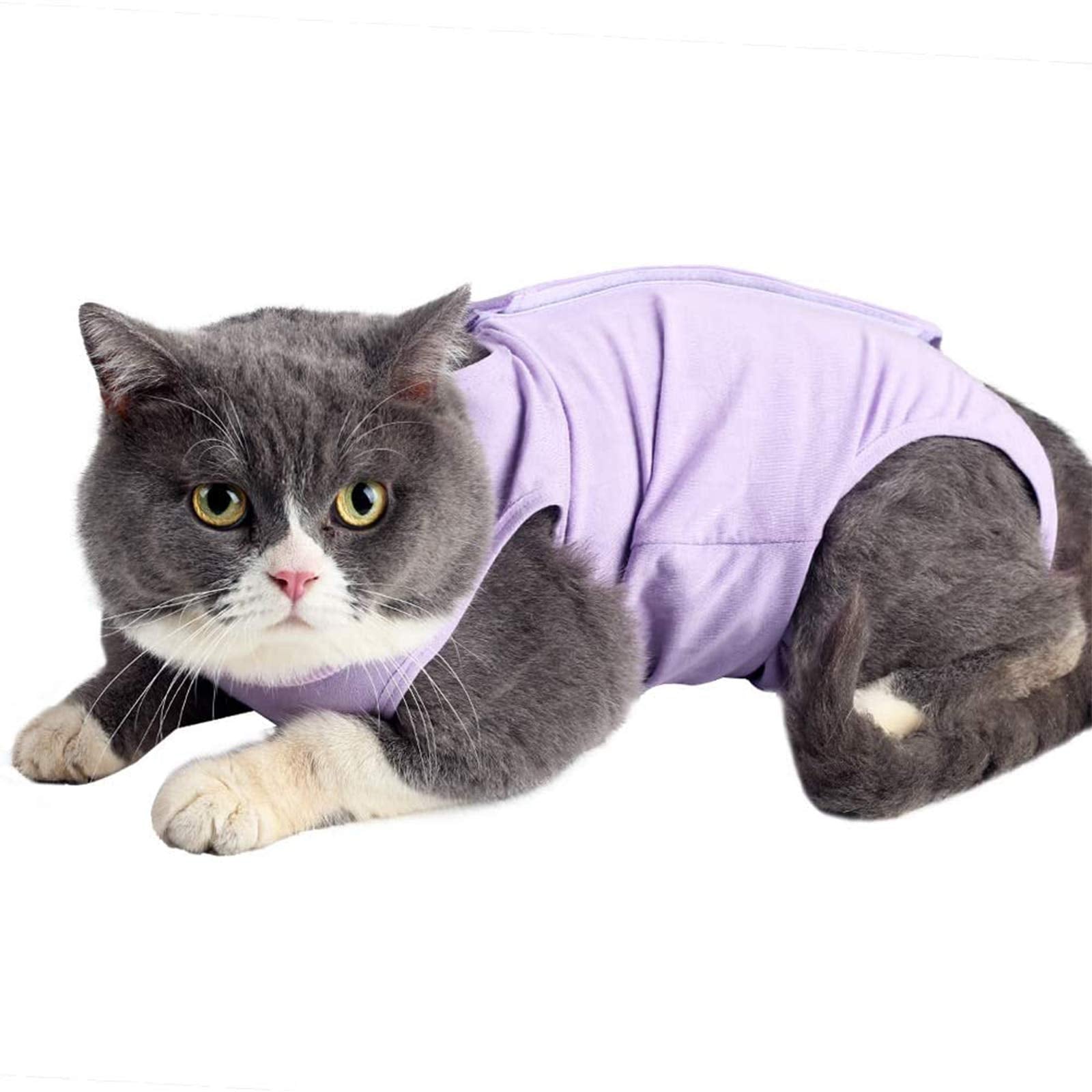kzrfojy Cat Surgery Recovery Suit Cat Onesie for Cats After Surgery Spay Surgical Abdominal Wound Skin Diseases E-Collar Alternative Wear (Pruple-M)