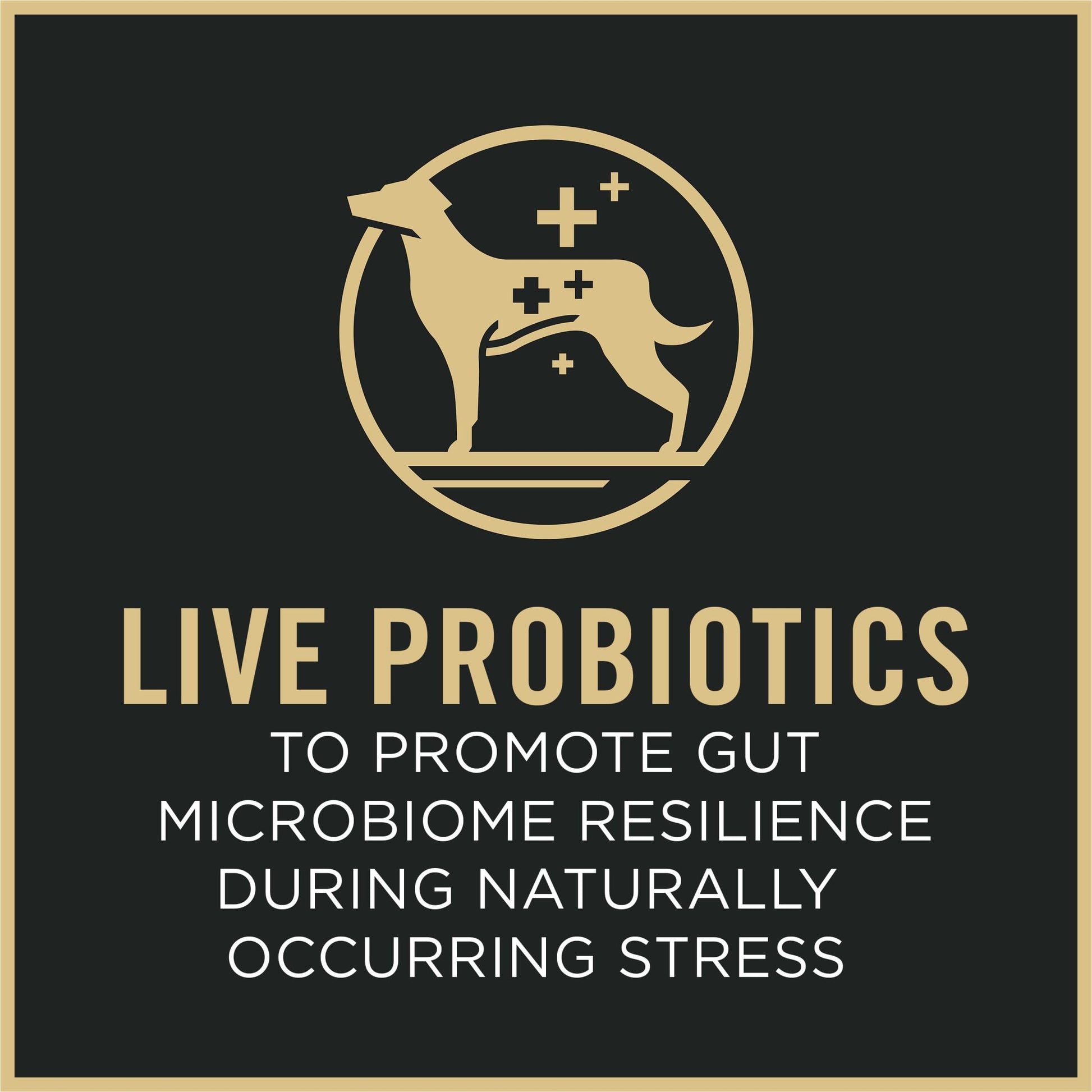 Purina Pro Plan Small Breed Dry Dog Food, Shredded Blend Beef and Rice Formula With Guaranteed Live Probiotics - 6 lb. Bag