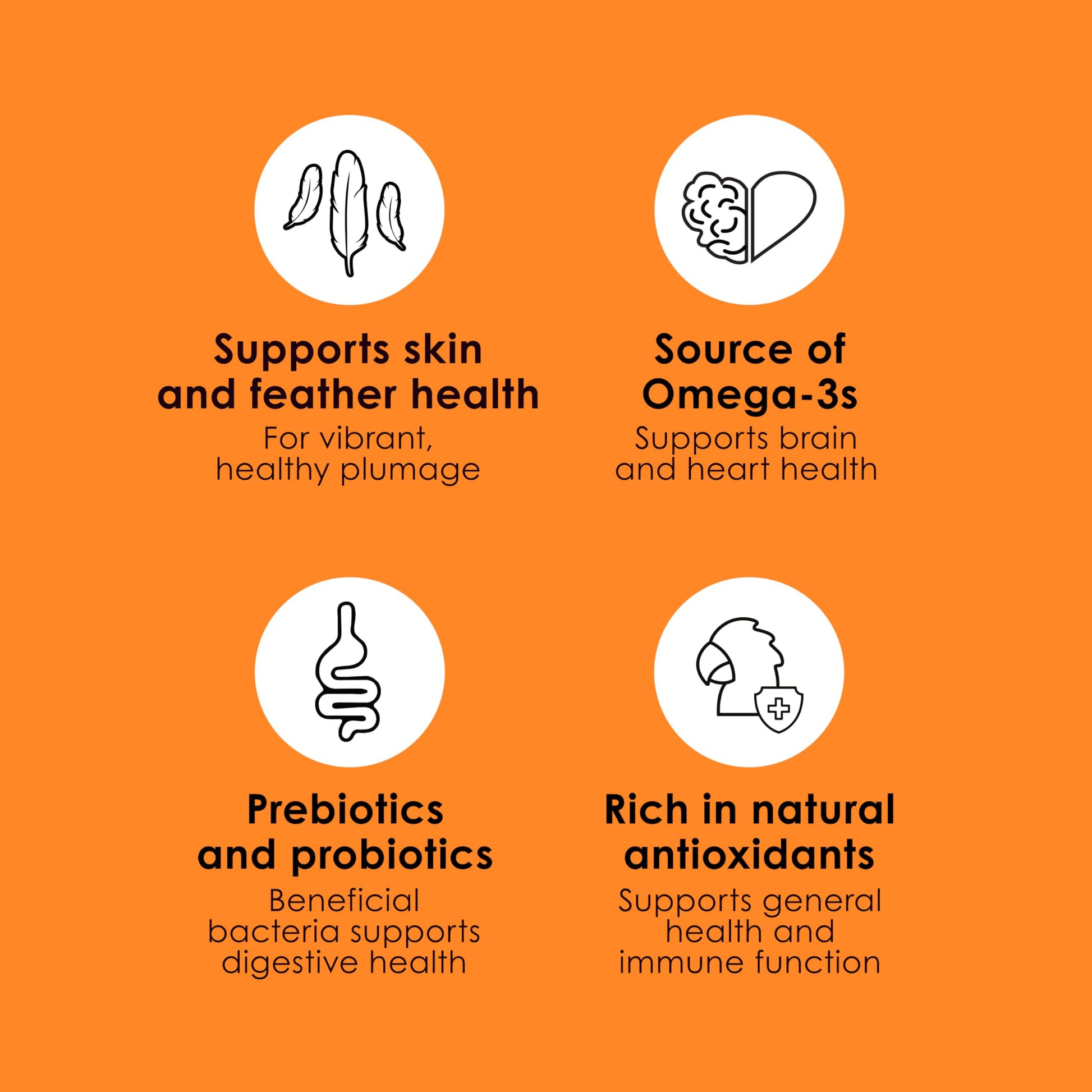 Kaytee Fiesta Parakeet Food, Nutritious and Fun Blend, Supports Skin, Feather, Digestion, Brain and Heart Health, 2 pounds