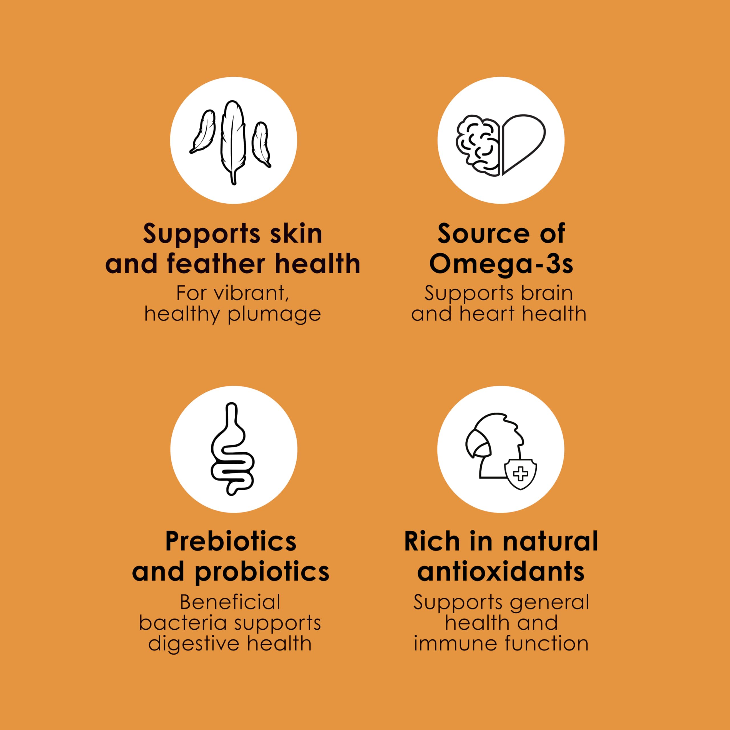 Kaytee Fiesta Parakeet Food, Nutritious and Fun Blend, Supports Skin, Feather, Digestion, Brain and Heart Health, 2 pounds