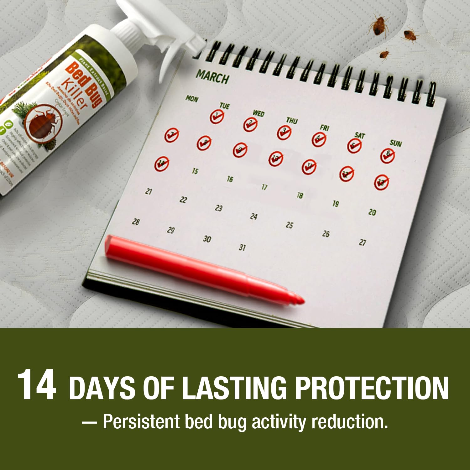 Bed Bug Killer 16 oz EcoVenger by EcoRaider, 100% Kill Efficacy, Bedbugs & Mites, Kills Eggs & The Resistant, Lasting Protection, USDA BIO-Certified, Plant Extract Based & Non-Toxic, Child & Pet Safe