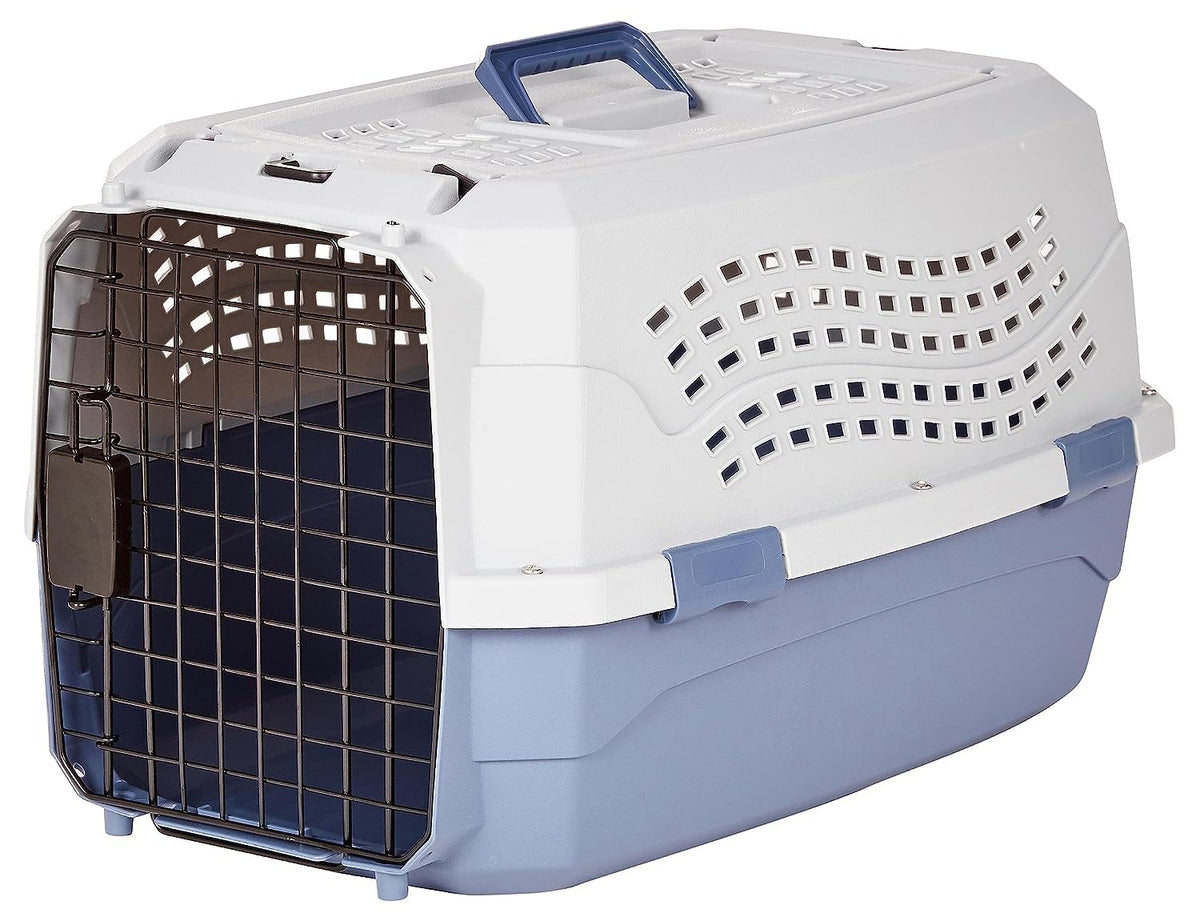 Basics 2-Door Top-Load Hard-Sided Dogs, Cats Pet Travel Carrier, Gray & Blue, 22.8"L x 15.0"W x 13.0"H
