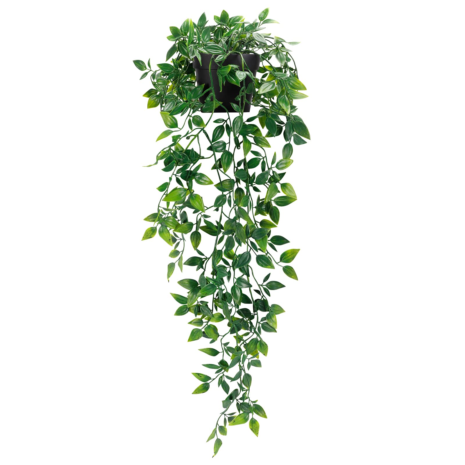 {{Product title}} | Buy from the USA & Ship Worldwide | 2PriceTags