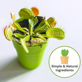 Perfect Plants Carnivorous Plant Soil | 4 Qts. Organic Premium Mix | Use with Venus Fly Traps, Pitcher Plants, or Other Carnivorous Plants