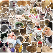 50Pcs Cat Stickers Pack,Kawaii Stickers Vinyl Waterproof Stickers, for Laptop Water Bottle Skateboard Luggage Car Bumper Cute Cat Stickers for Girls Kids Teens
