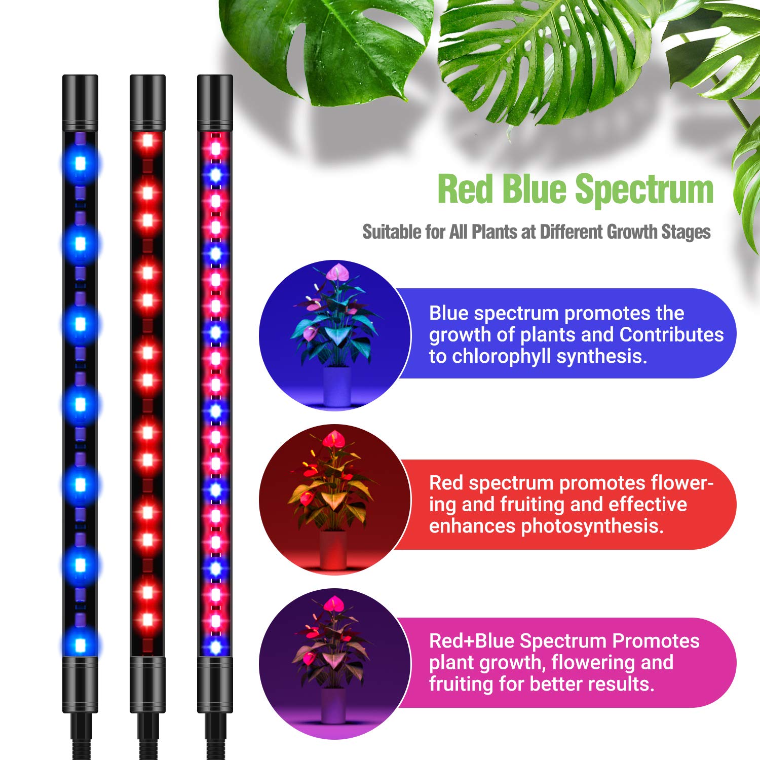 Grow Light with Stand, FRENAN Grow Lights for Indoor Plants with Red Blue Spectrum, 10 Dimmable Brightness, 4/8/12H Timer, 3 Switch Modes, Adjustable Gooseneck, Suitable for Various Plants Growth