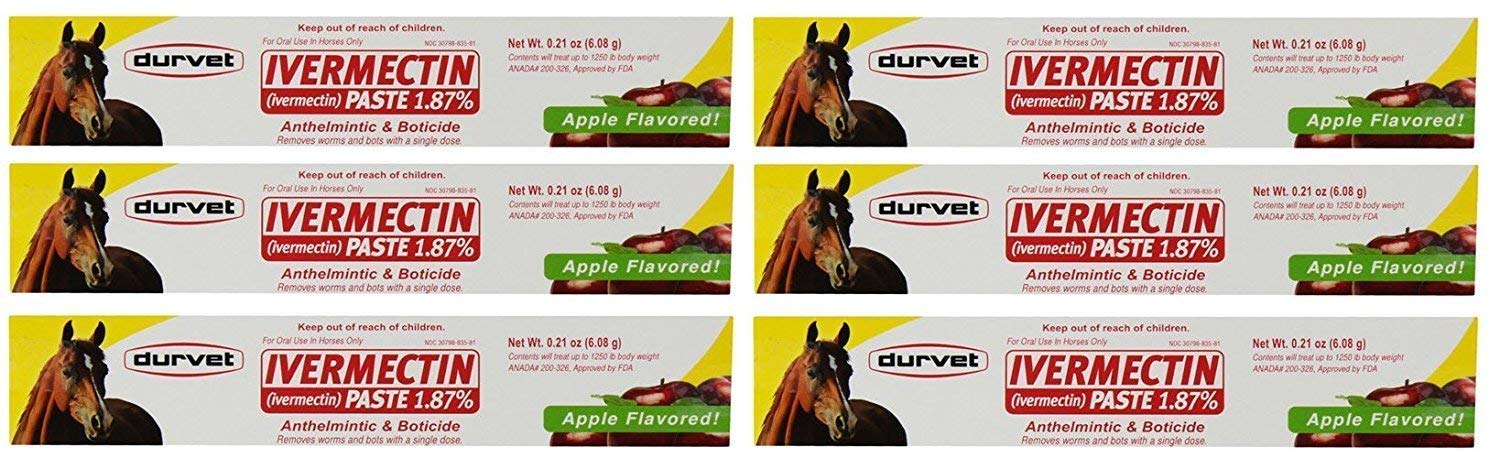 Durvet 6 Pack of Ivermectin Paste, 0.21 Ounces each, Apple Flavored Horse Wormer