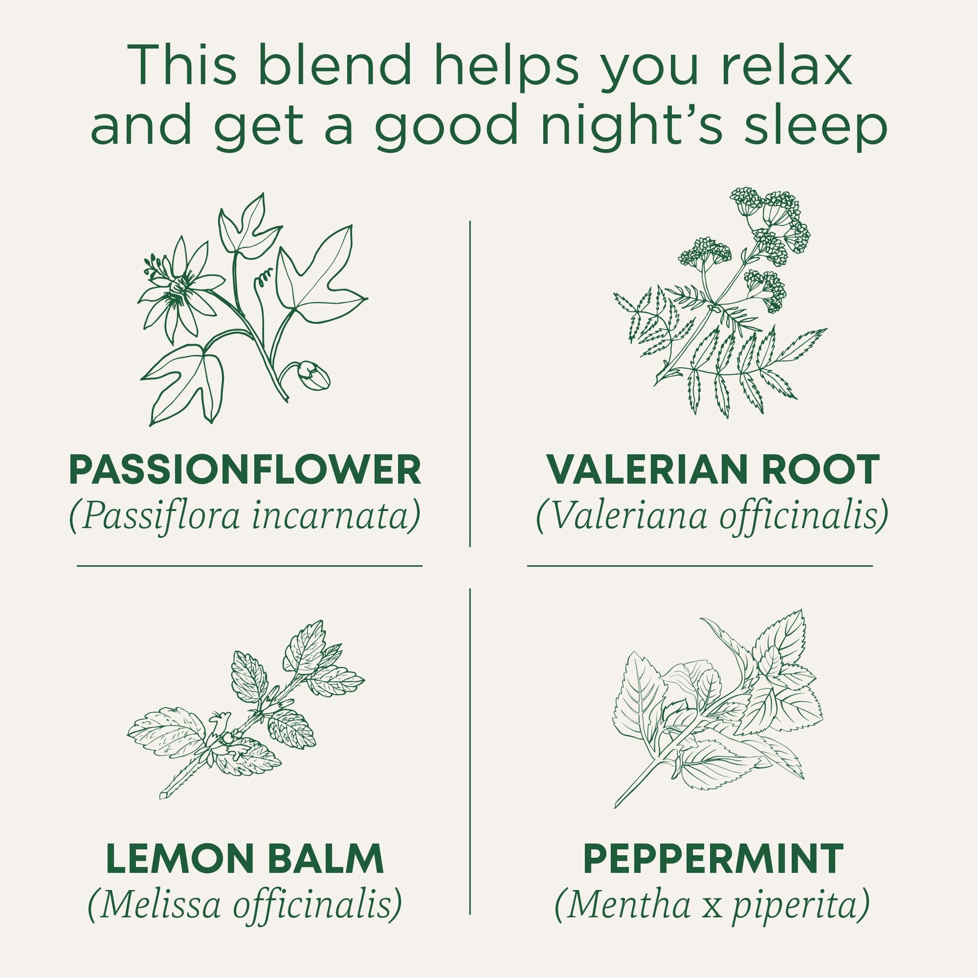 Traditional Medicinals Organic Nighty Night Extra Tea With Valerian Root for Relaxation, 16 Tea Bags (Pack of 1)