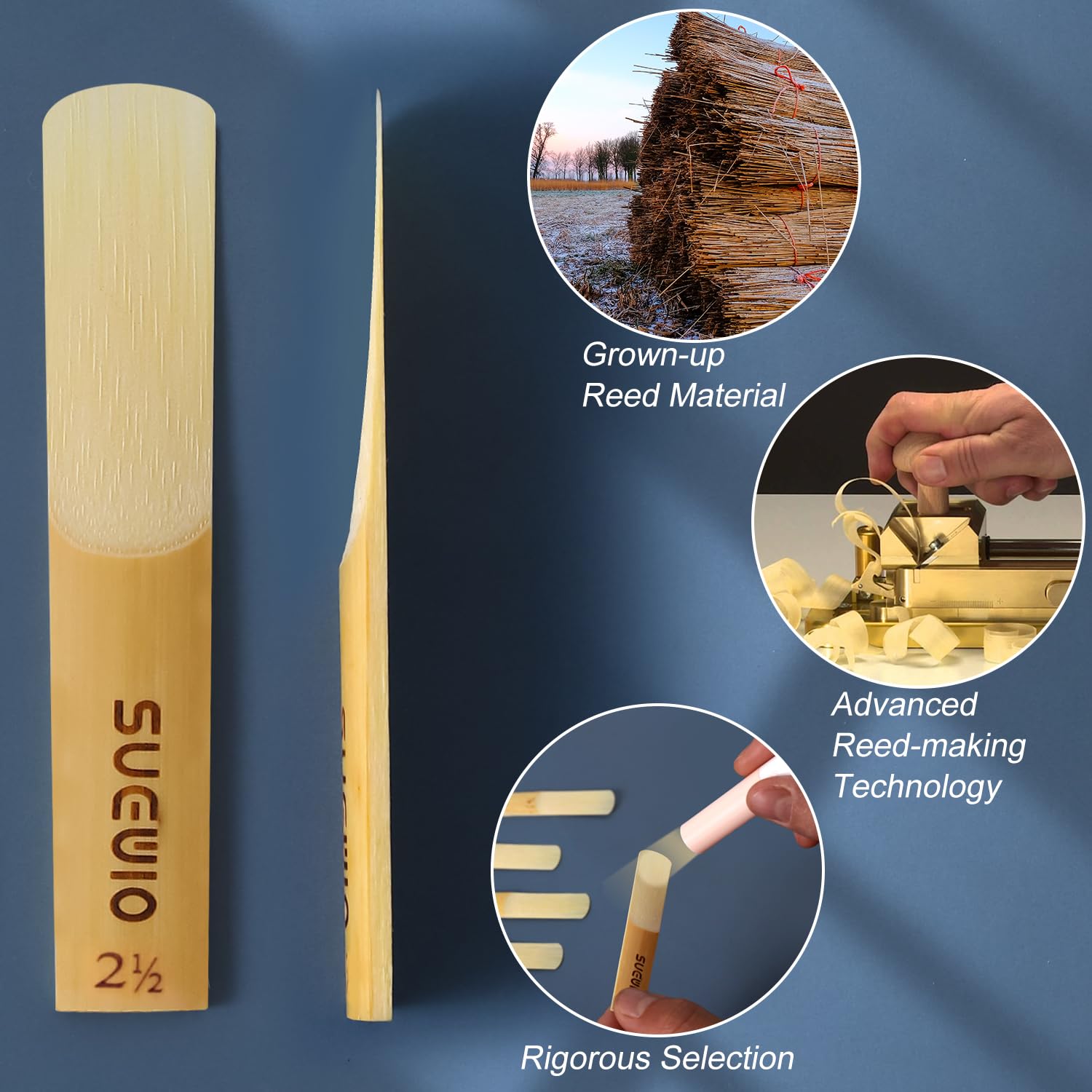 SUEWIO Bb Clarinet Traditional Reeds, Strength 2.5, 10 Pack with Portable Case