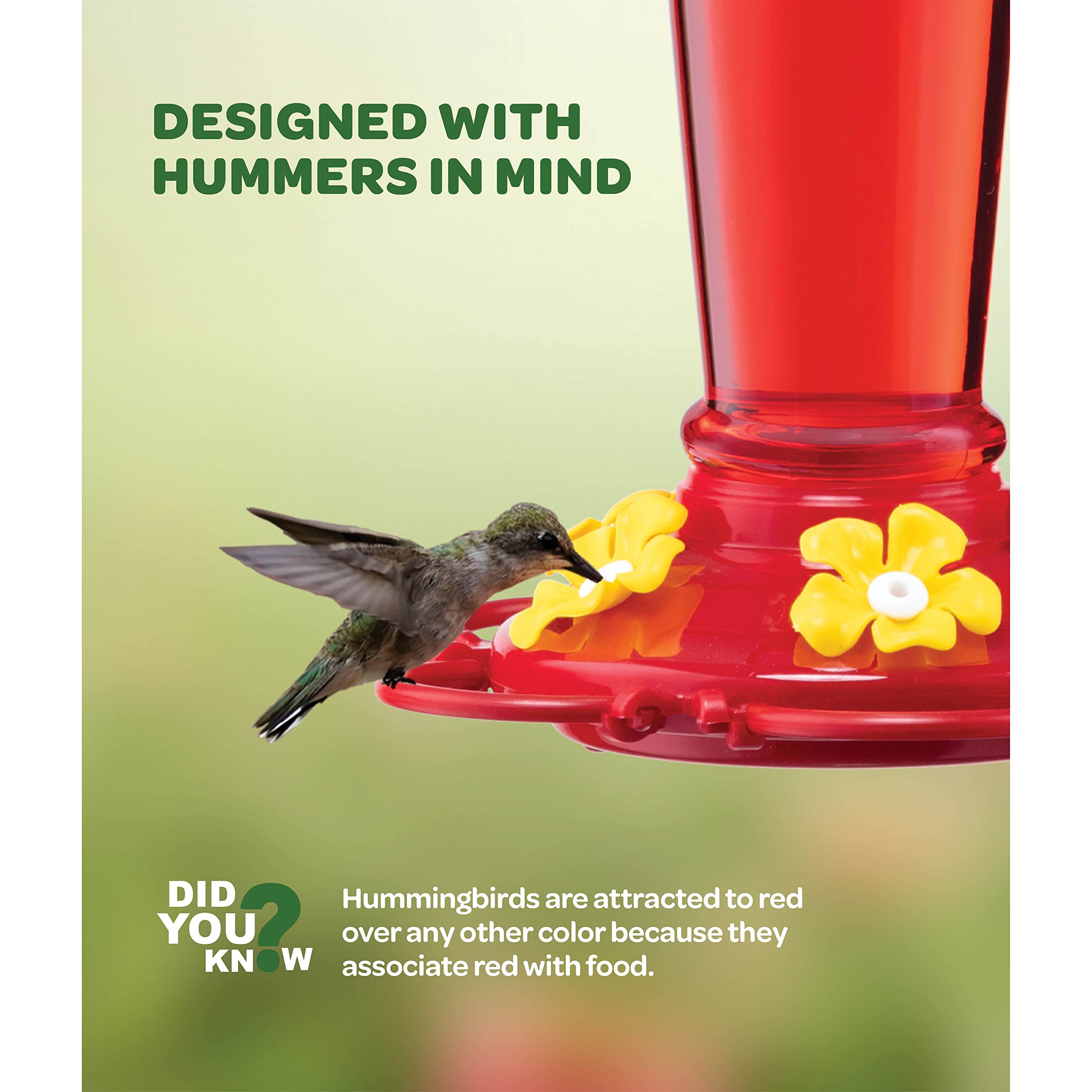 Hummingbird Feeder 10 oz [Set of 2] Plastic Feeders for Outdoors, with Built-in Ant Guard - Circular Perch with 5 Feeding Ports - Wide Mouth for Easy Filling/2 Part Base for Easy Cleaning