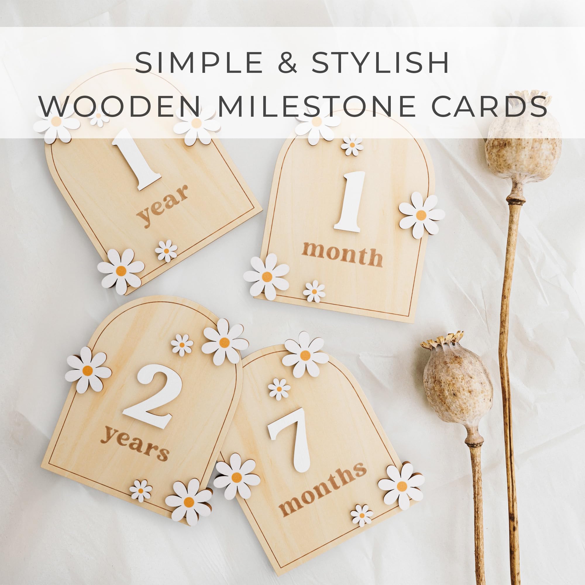 Beautiful Baby Monthly Milestone Cards - The Perfect Wooden Discs for Adorable Milestone Pictures of Your Newborn - 2X Reversible Arches Signs with Interchangeable Numbers Make a Great Shower Gift