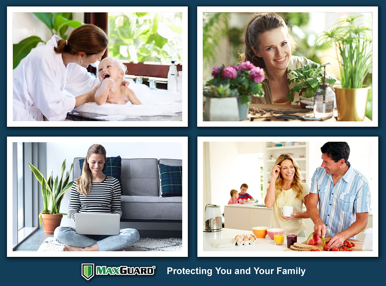 MaxGuard Spider + Insect Traps (12 pcs Box Trap) | Non-Toxic Extra Sticky Glue Traps, Kill Black Widow Hobo Brown Recluse Spiders and Other Crawling Bugs & Insects |