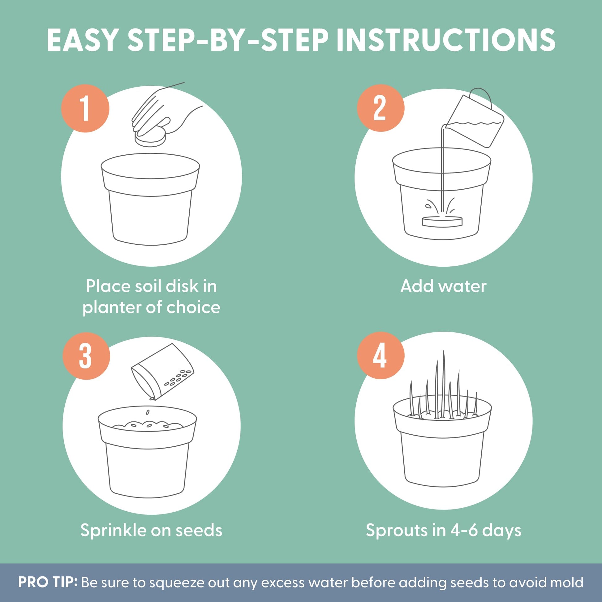 The Cat Ladies Cat Grass Refill Kit 100% Organic 3 Pack