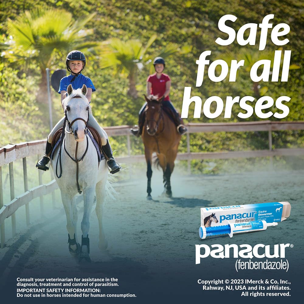 Panacur (3 Pack) Dewormer Horse Paste 10%, 100mg Each