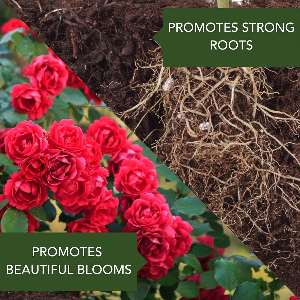 BioAdvanced All-In-One Rose and Flower Care I, Granules for Insects 4 lb