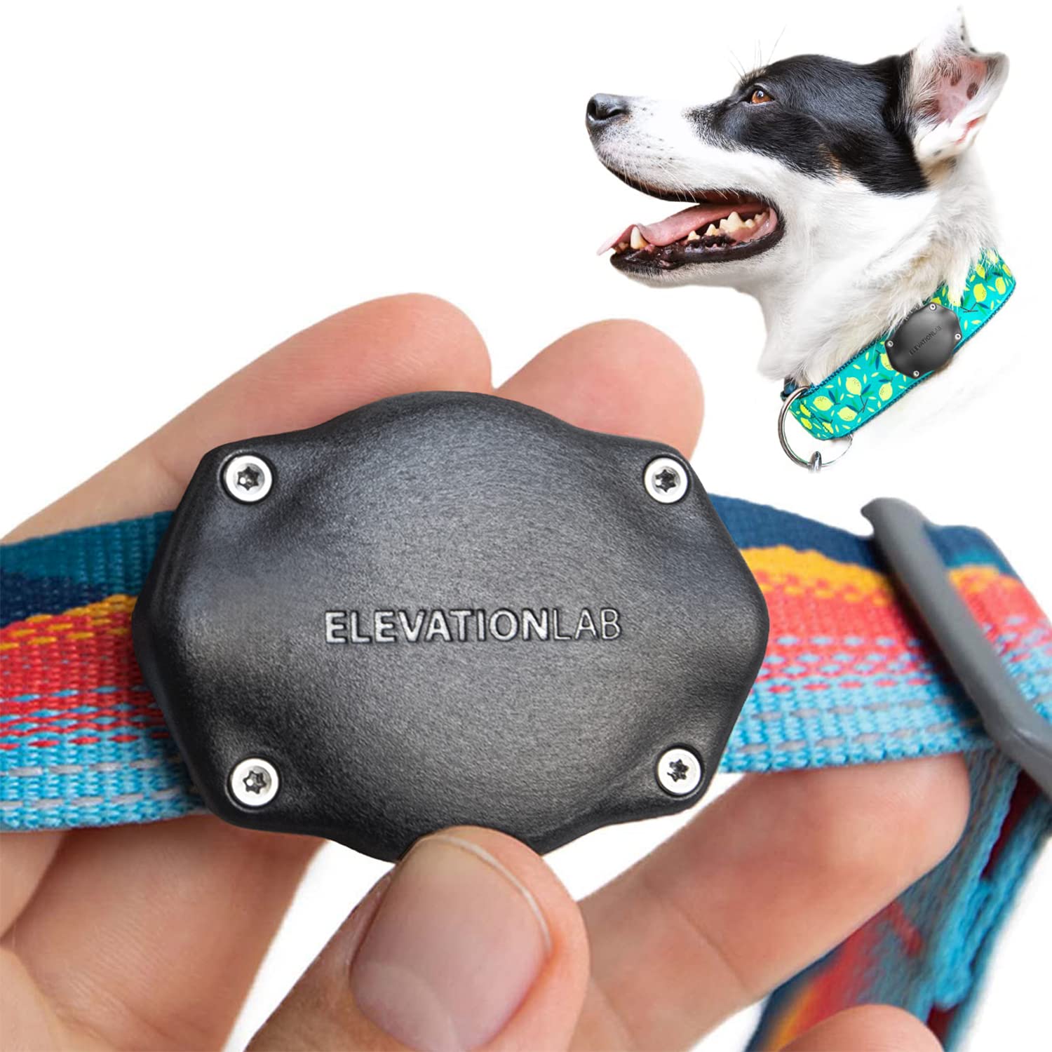 {{Product title}} | Buy from the USA & Ship Worldwide | 2PriceTags