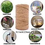 Jute Twine 328 Feet 2.5mm 4Ply Heavy Duty Brown Jute Rope String for Home Gardening Plant Picture Hanger Industrial Packing Mason Jars Wedding Decorations Crafts