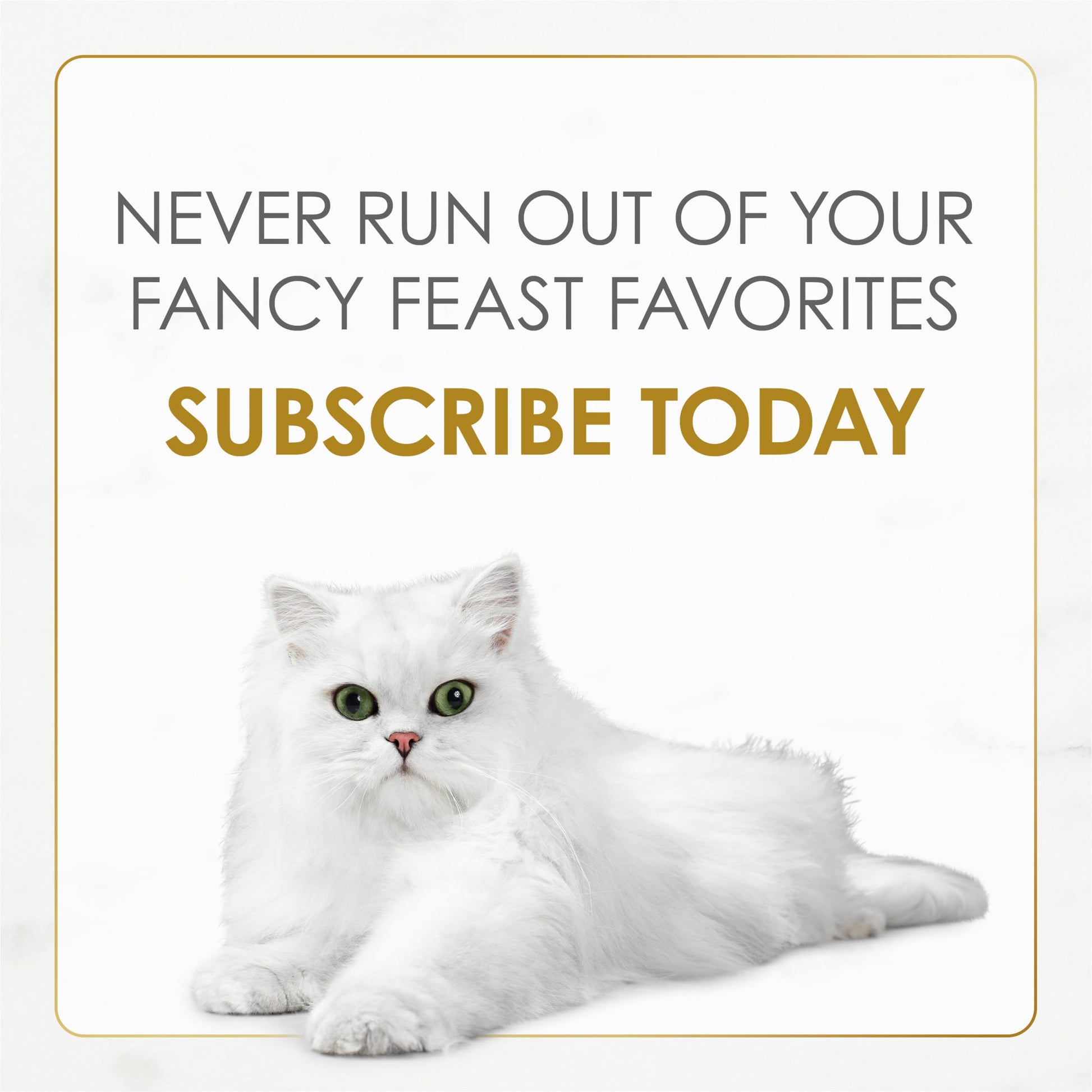 Purina Fancy Feast Gravy Lovers Chicken Feast Pate in Wet Cat Food Gravy - (Pack of 24) 3 oz. Cans