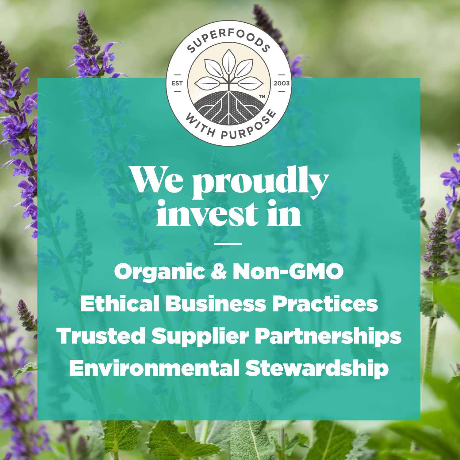 Navitas Organics Chia Seeds – For Chia Pudding, Smoothies, Baking, Salads & More – Omega 3, Fiber, Minerals - USDA Organic, Non GMO, Kosher, Gluten Free, Keto (8oz. Bag, 8 Servings)