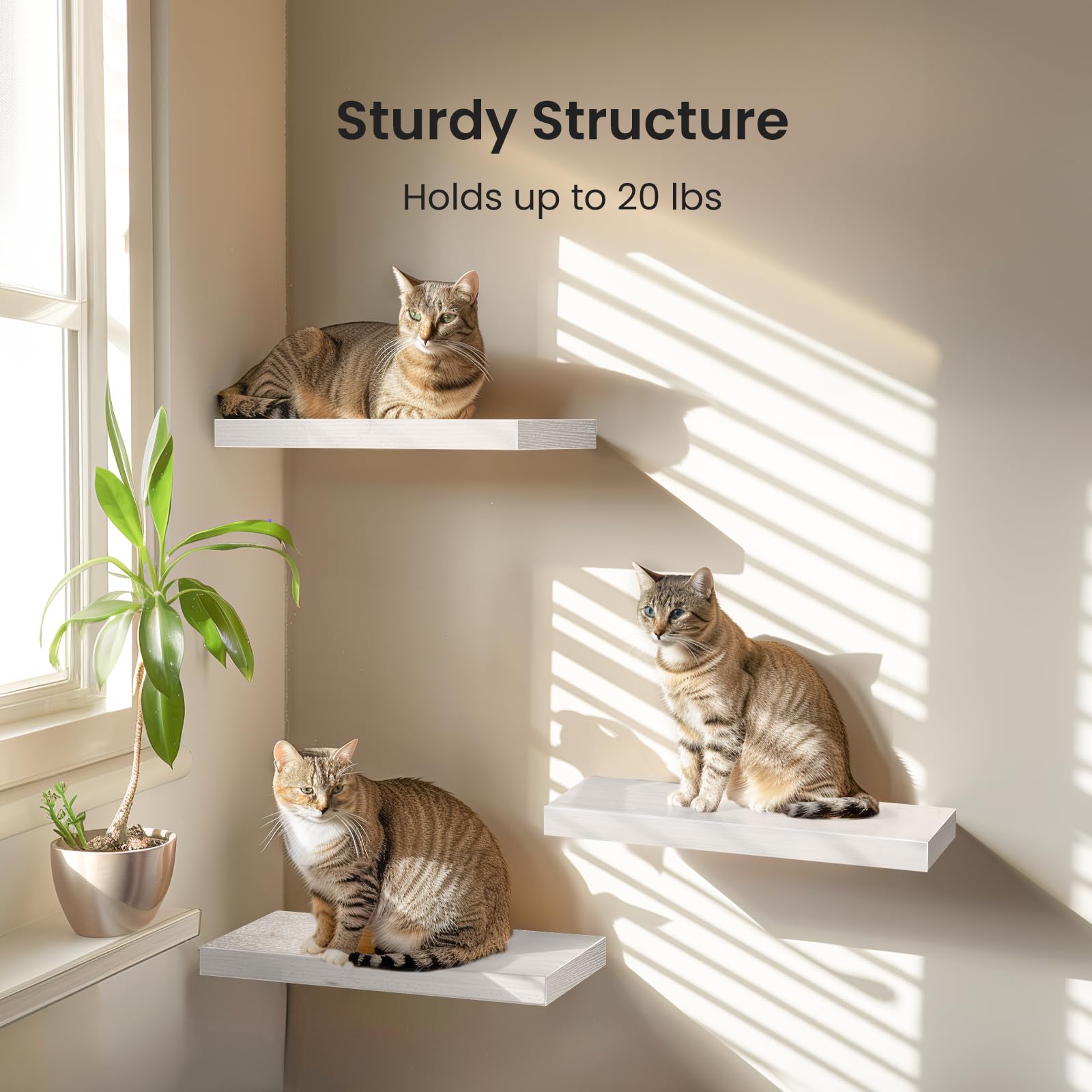 AMADA HOMEFURNISHING Floating Shelves, Wall Shelves for Bathroom/Living Room/Bedroom/Kitchen Decor, White Shelves with Invisible Brackets Set of 3 - AMFS08