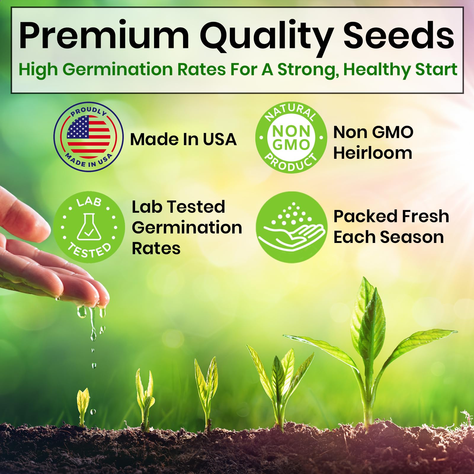 5 Herb Seeds Variety Kit, Oregano, Cilantro, Parsley, Basil, Chives