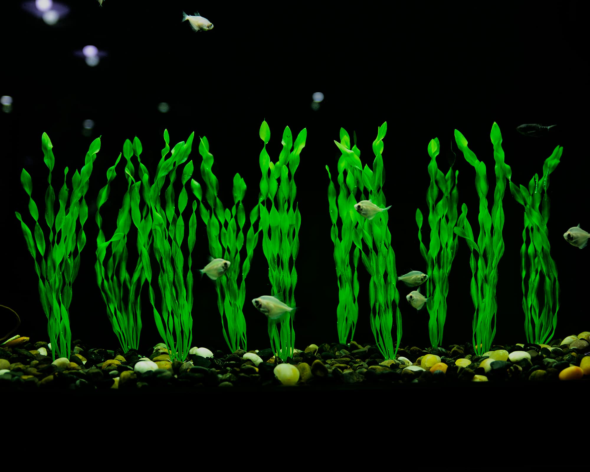 MyLifeUNIT Artificial Seaweed Water Plants for Aquarium, Plastic Fish Tank Plant Decorations 10 PCS (12 Inches Tall, Green)