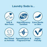 Nellie's Laundry Soda - Concentrated Laundry Detergent Powder - 100 Load - Gentle on Skin and Environment - Fragrance-Free