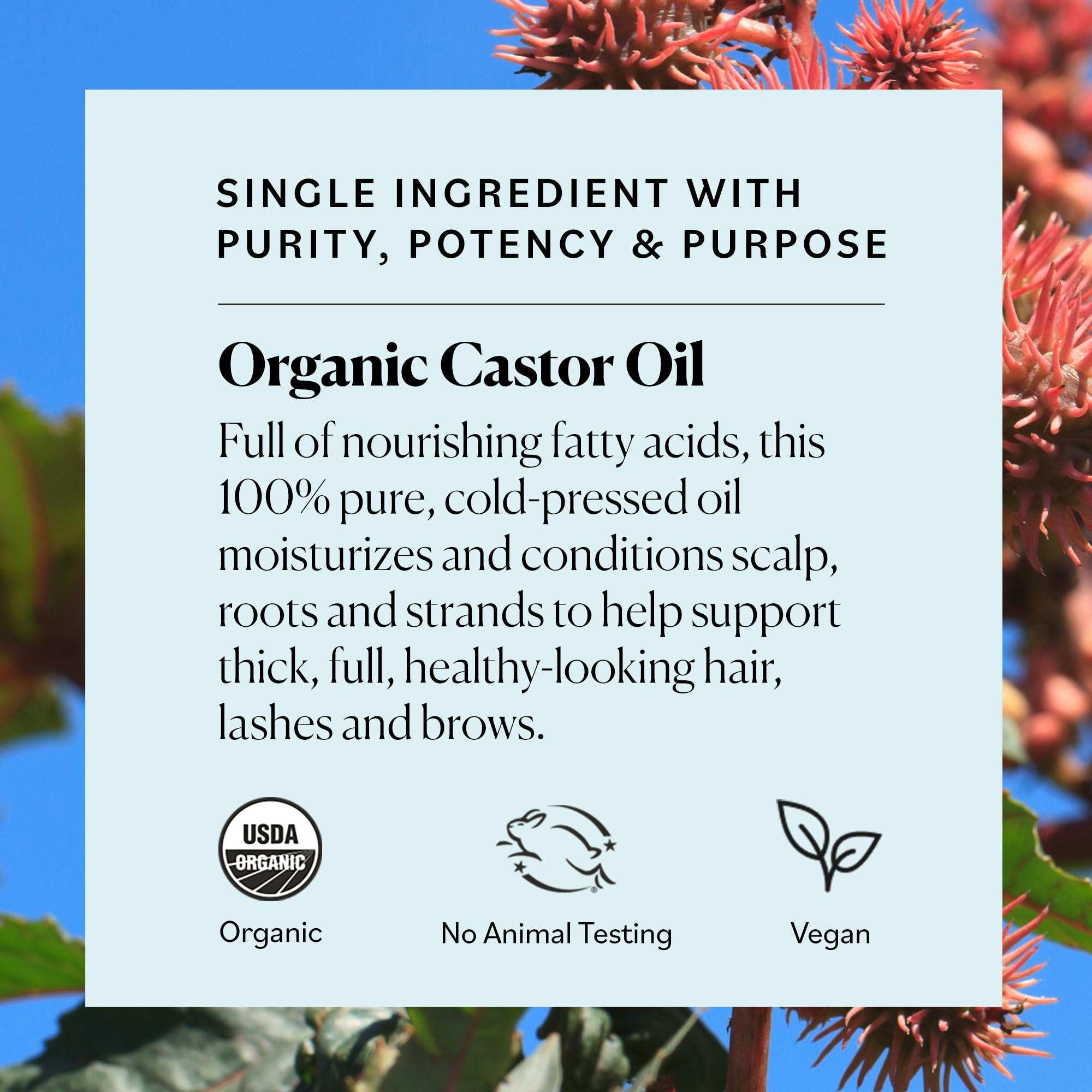 Sky Organics Organic Castor Oil, 100% Pure, Hexane Free, Cold-Pressed to Support Stronger, Fuller-Looking Hair, Eyelashes & Eyebrows,Good for Castor Packs, Navel Oiling, Carrier Oil Use, 16 fl oz