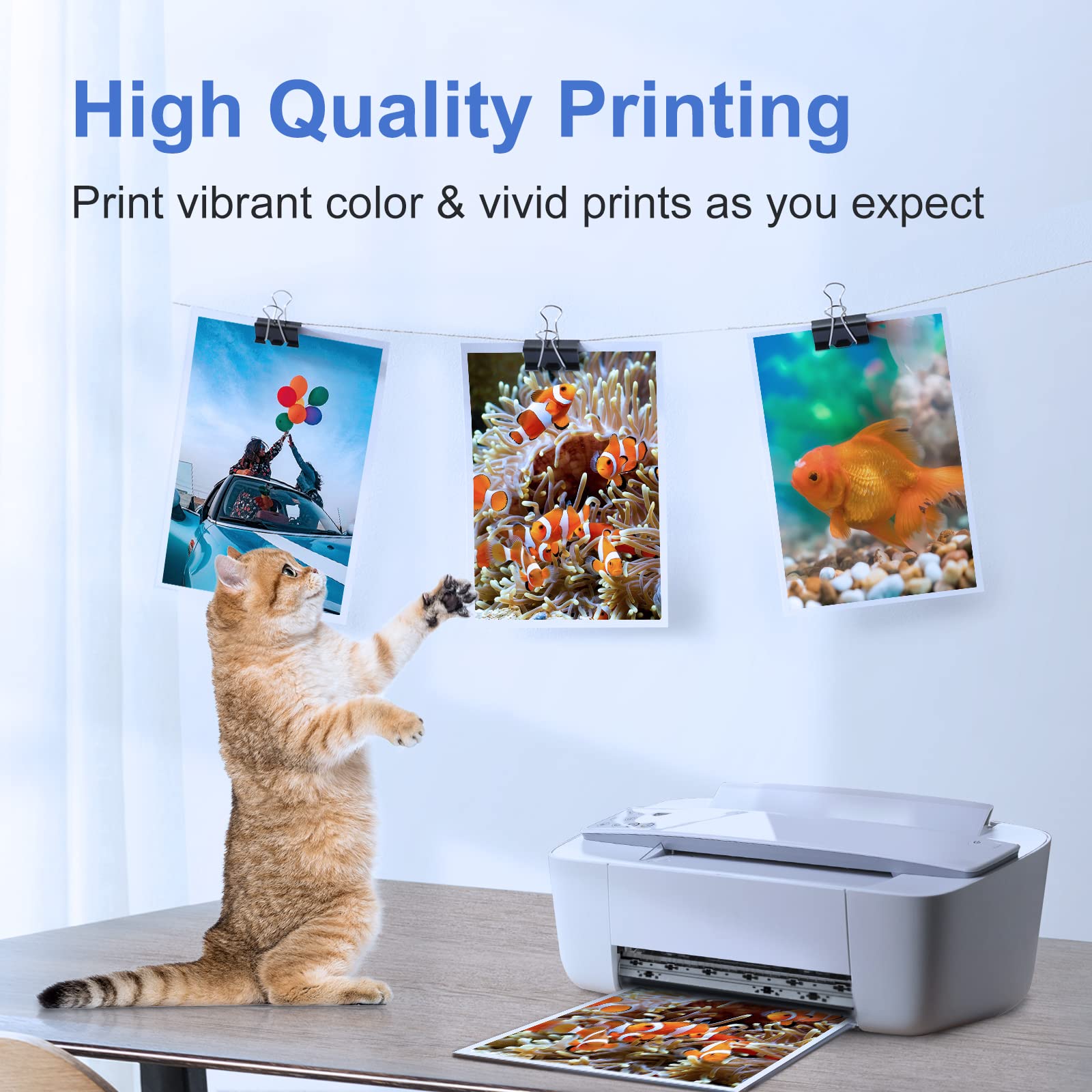 67XL HP Printer Ink for HP Ink 67 Replacement for HP 67 Ink Cartridges Black/Color Combo Pack HP67 DeskJet 2755e 2855e 2700 2800e 2700e 4255e 4155e Envy 6055e 6000 6455e 6400 Printer Ink HP 67 XL