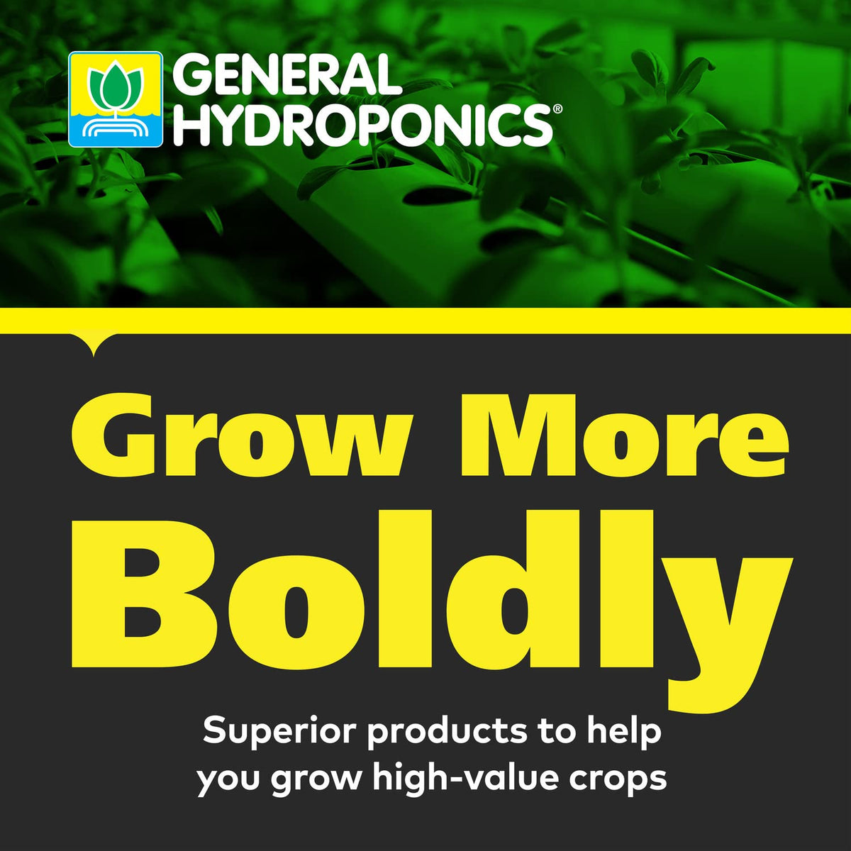 General Hydroponics CALiMAGic 1-0-0, konzentrierte Mischung aus Calcium & Magnesium, behebt Mangel an sekundären Nährstoffen, beugt Blütenendfäule & Spitzenbrand vor, rein, löslich, 1 Liter