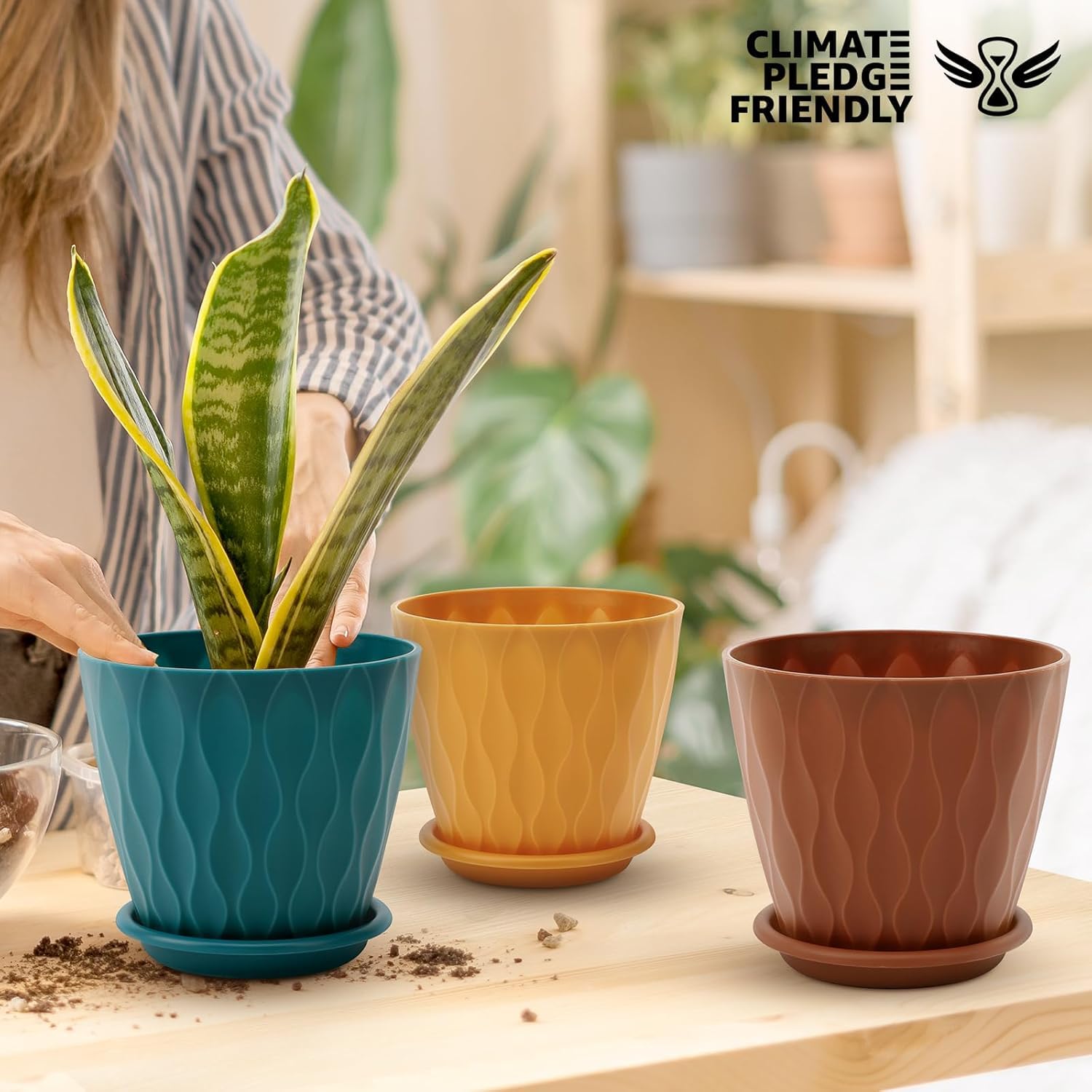 YNNICO 6 inch Plant Pots, 5 Pack Flower Pots Outdoor Indoor, Planters with Drainage Holes and Tray Saucers（Multicolor）