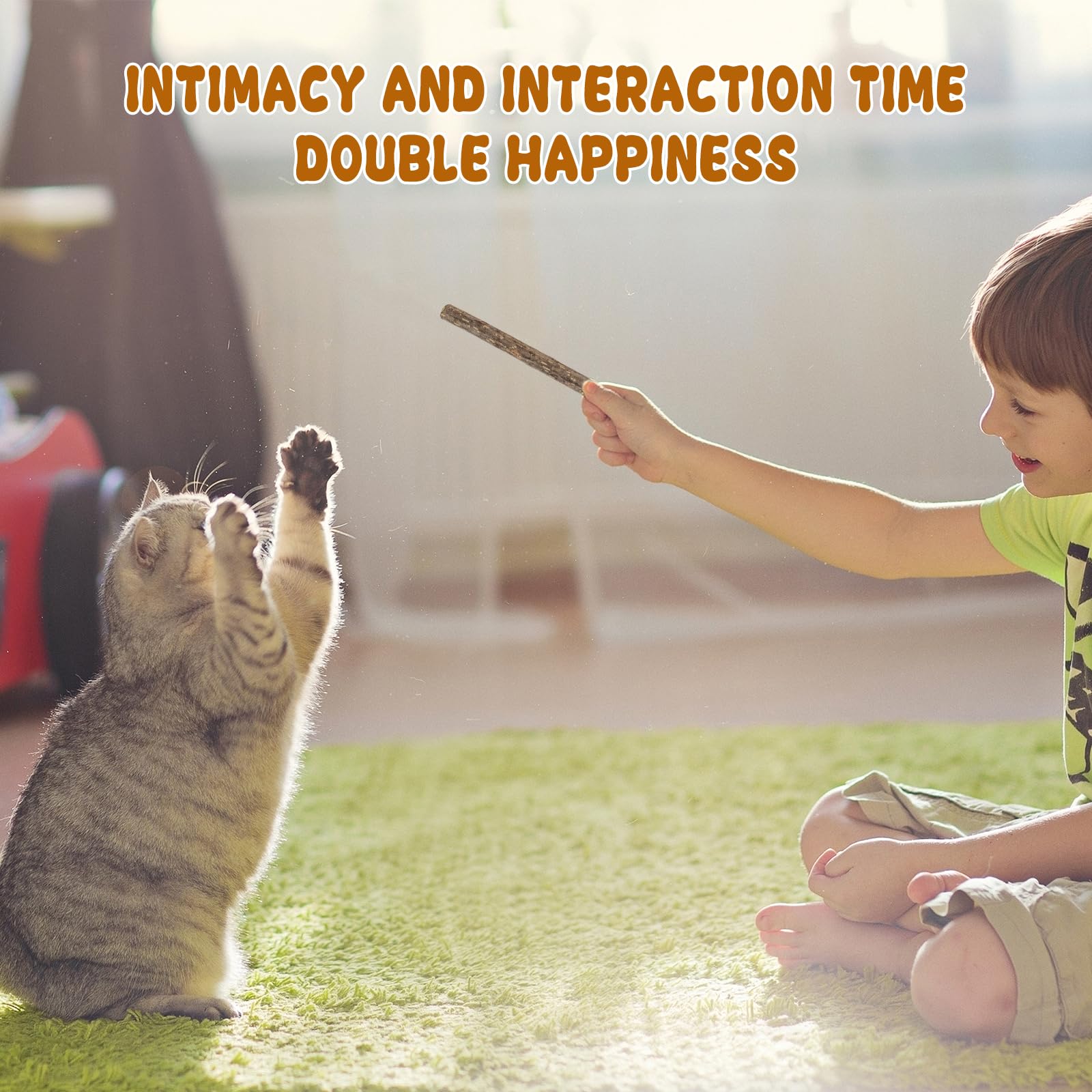 WoLover Silvervine Sticks for Cats, Natural Catnip Matatabi Chew Sticks Teeth Molar Chew Toys for Cat Kitten Kitty (at Least 12 PCS)