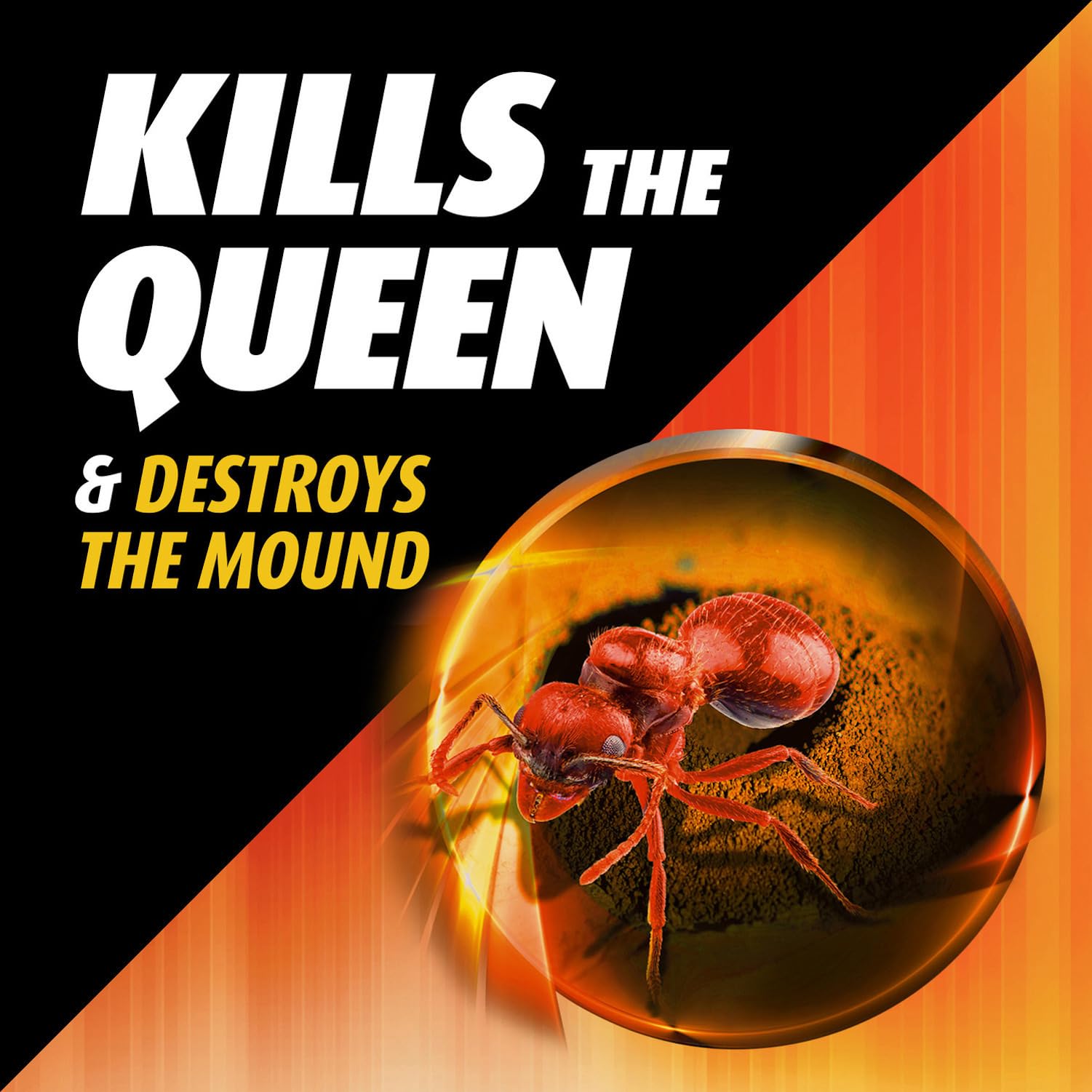 Ortho Orthene Fire Ant Killer1, Kills the Queen and Destroys Mounds, Begins Working in 60 minutes, 12 oz., 2-Pack