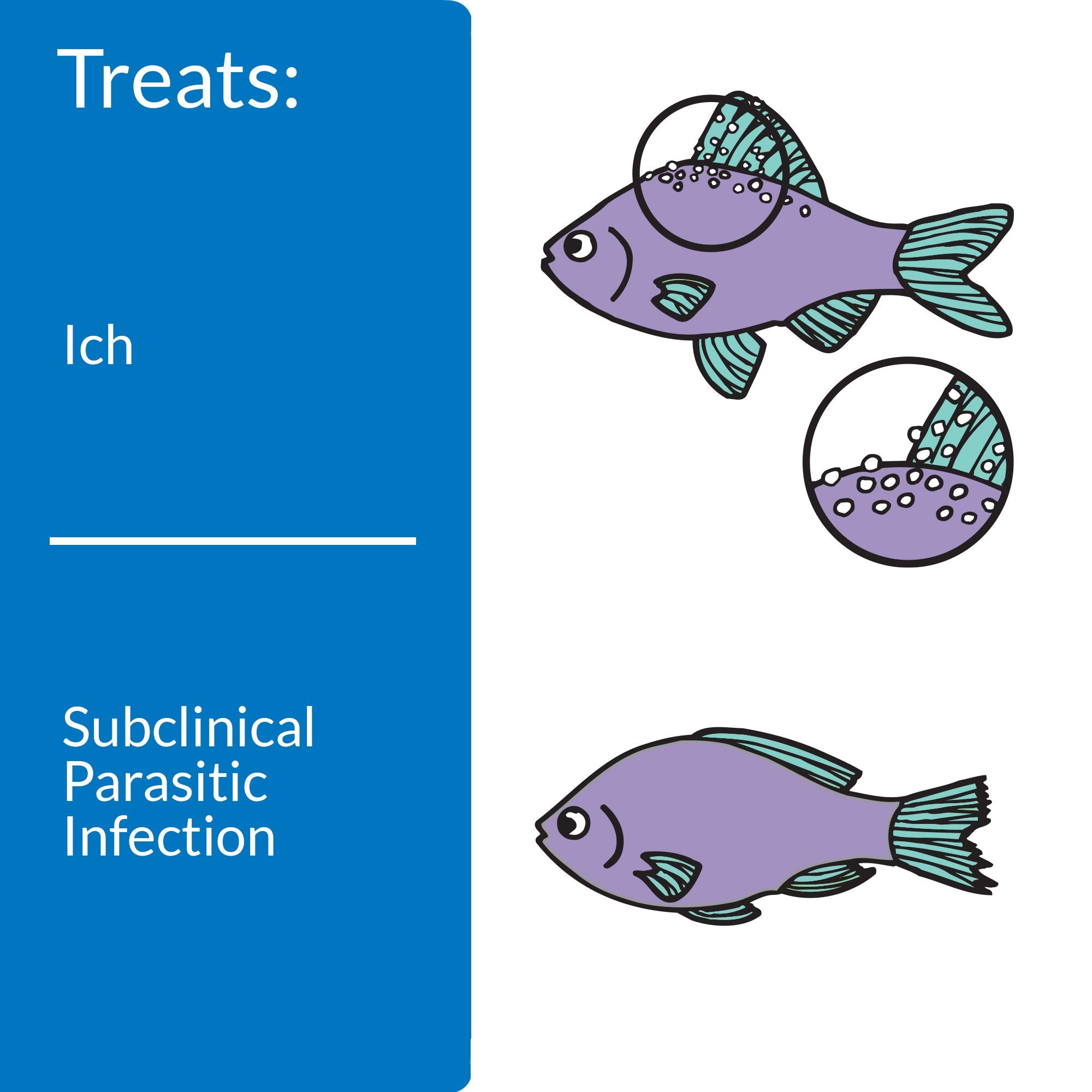 API LIQUID SUPER ICK CURE Fish remedy, Freshwater and Saltwater Fish Medication 4 fl oz(Pack of 1), White