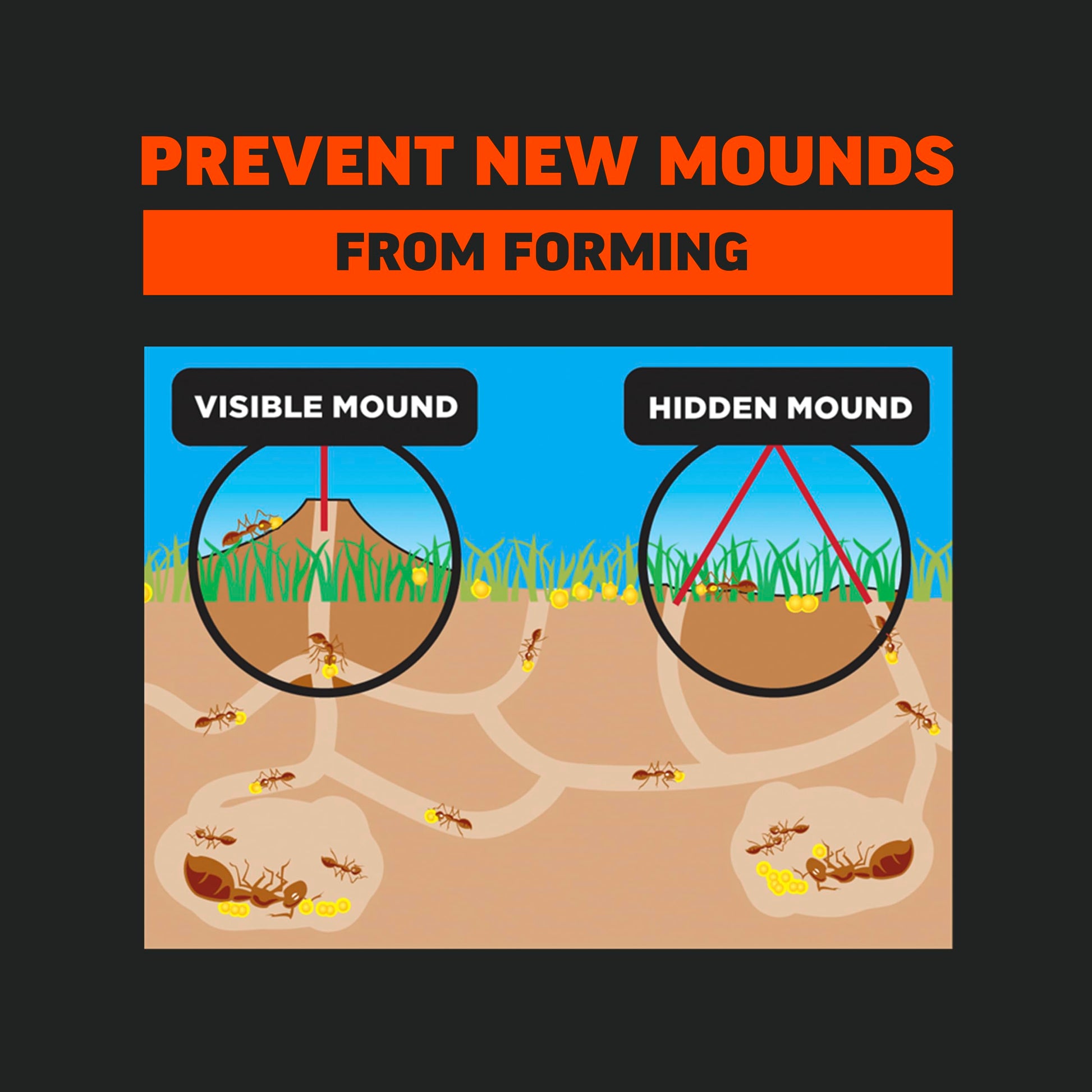 Amdro Fire Ant Killer for Lawns 5 LB