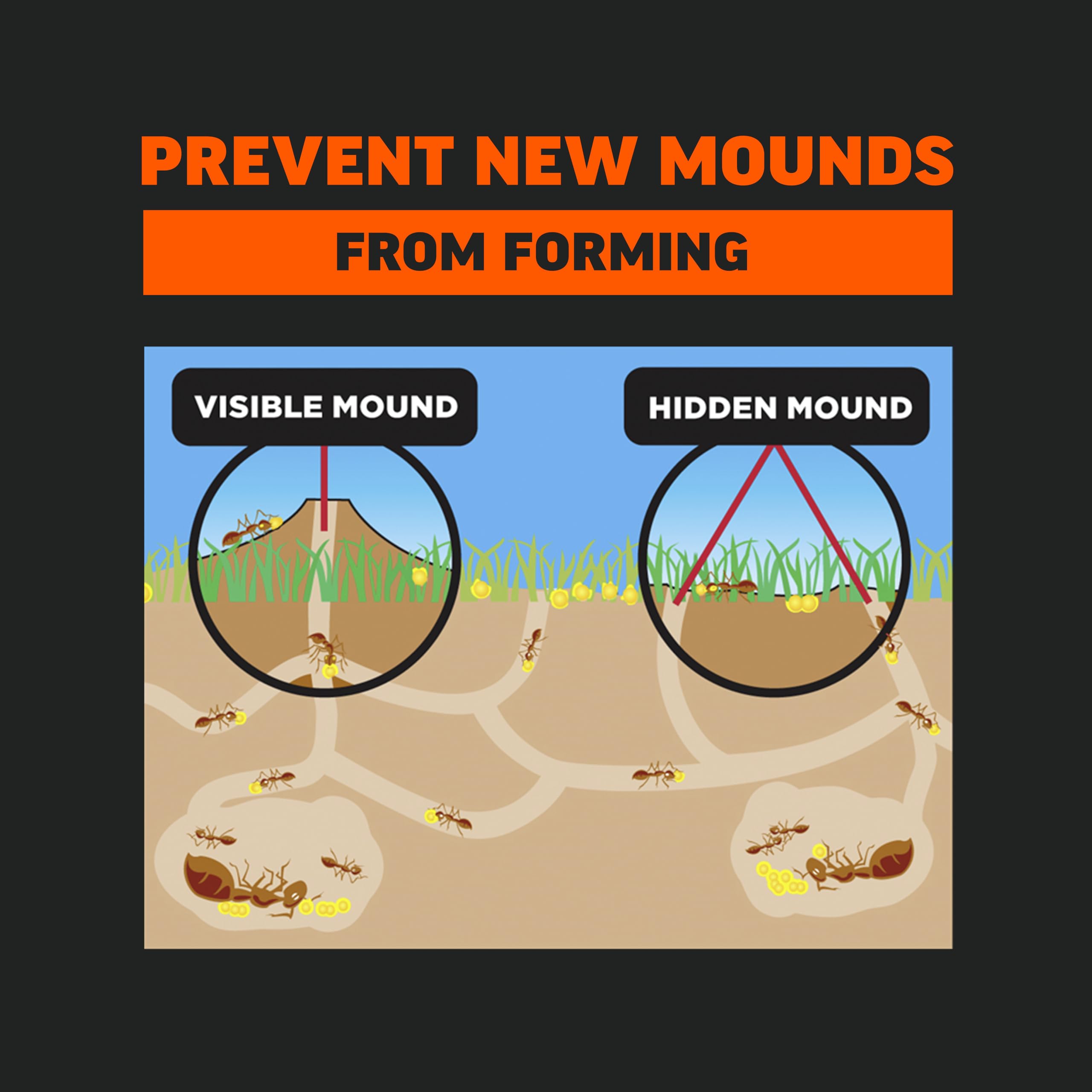 Amdro Fire Ant Killer for Lawns 5 LB