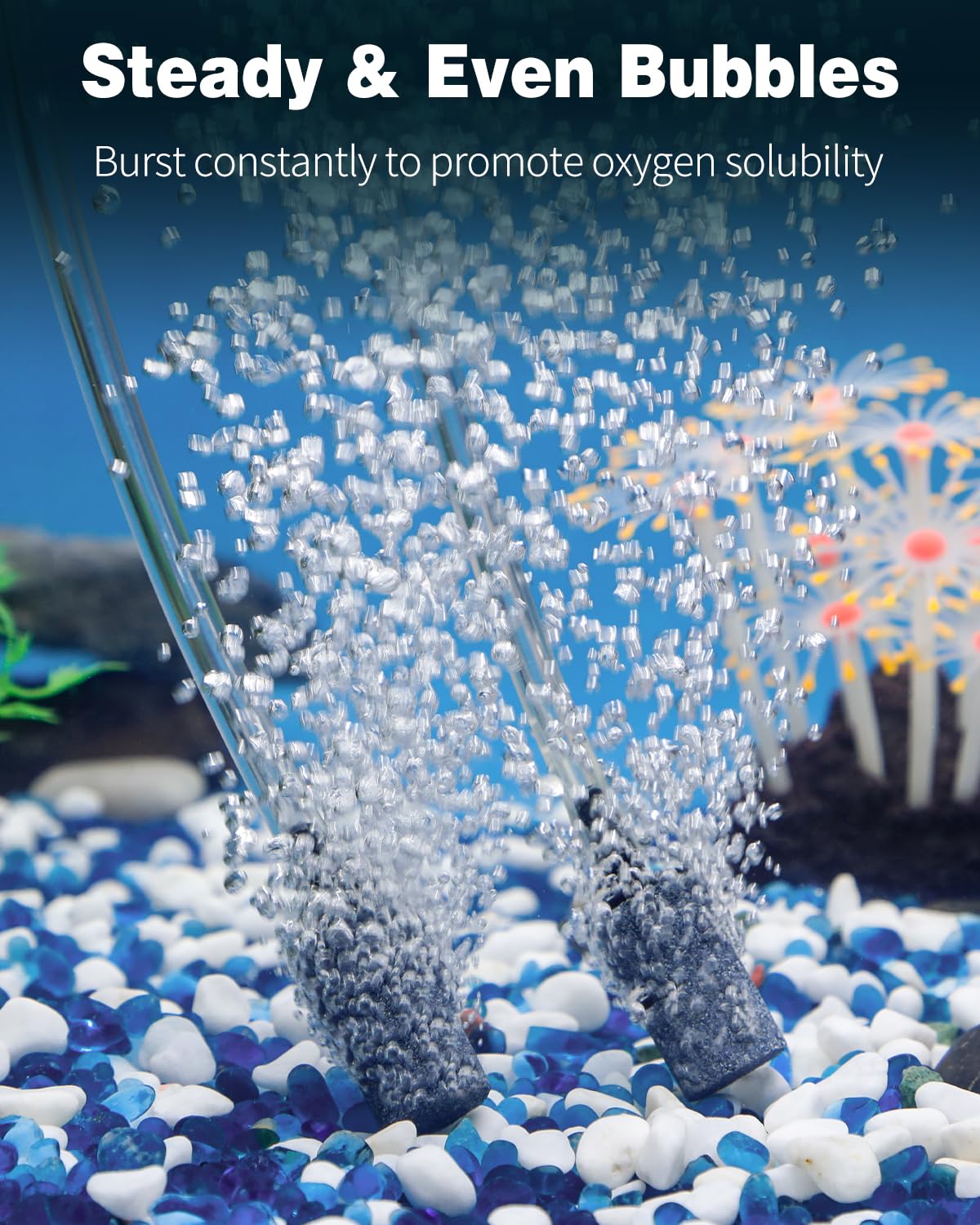 Pawfly Aquarium Air Stone 1 Inch, Fish Tank Air Stone Aerator Bubble Diffuser for Nano Air Pumps Small Buckets and Fish Tanks, 10 Pack