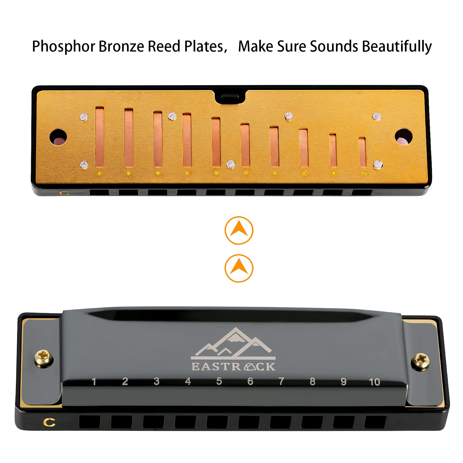 EastRock Blues Harmonica Mouth Organ 10 Hole C Key with Case, Diatonic Harmonica for Professional Player, Beginner, Students gifts, Adult, Friends, Gift Black