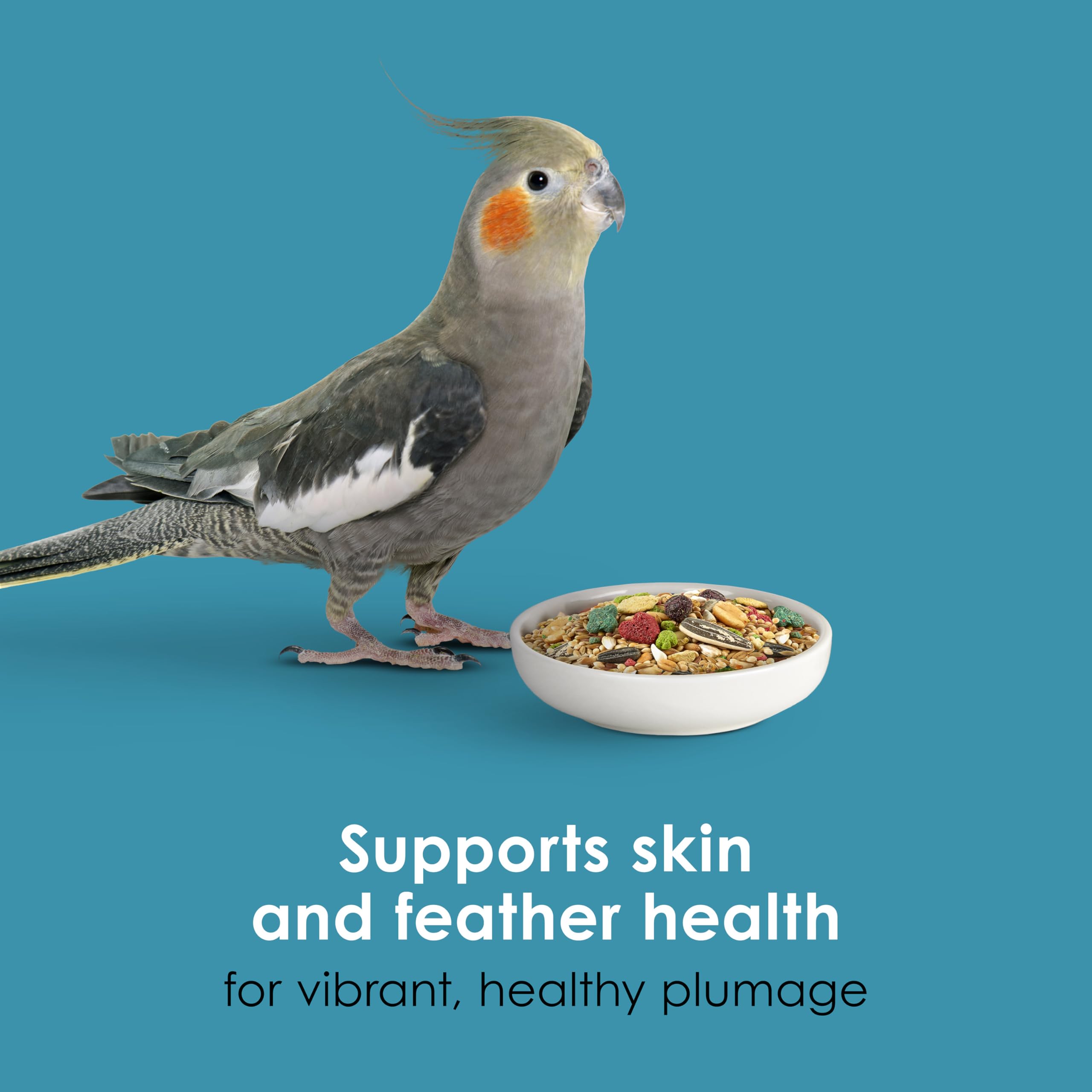 Kaytee Forti-Diet Pro Health Nourish+Protect Cockatiel Food, Comprehensive Nutrition Backed by Science, Digestive Health, Immune Support, 5 pounds
