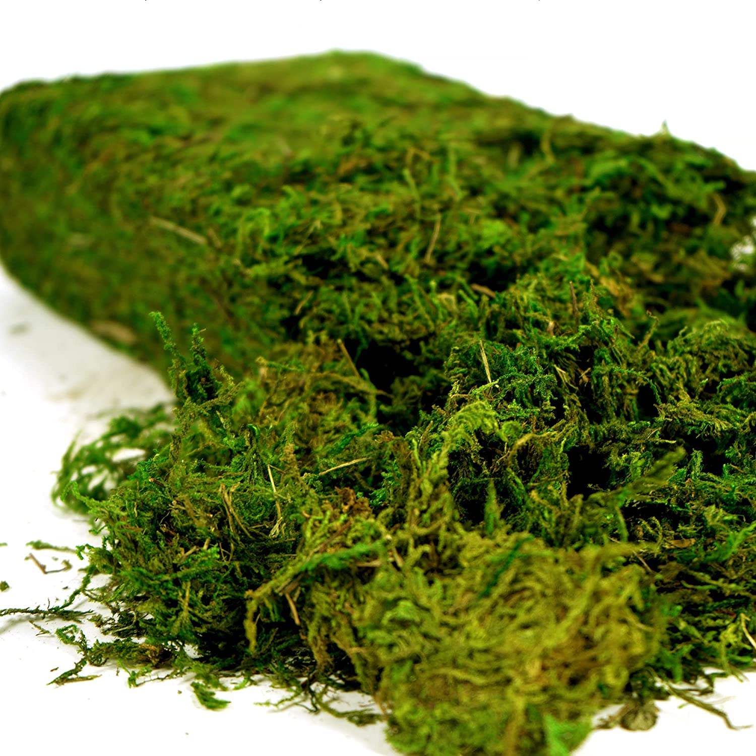 USMOLA Artificial Moss, 16OZ Fake Moss for Crafts, Decorative Centerpieces, Fairy Garden, Wedding Party Decor, Faux Potted Plants, 455gr (Fresh Green)