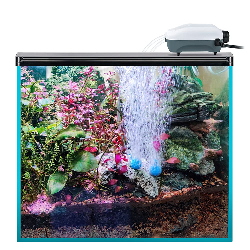 HITOP Dual Outlet Aquarium Electric Air Pump, Whisper Adjustable Fish Tank Aerator, Quiet Oxygen Pump with Accessories for 20 to 100 Gallon