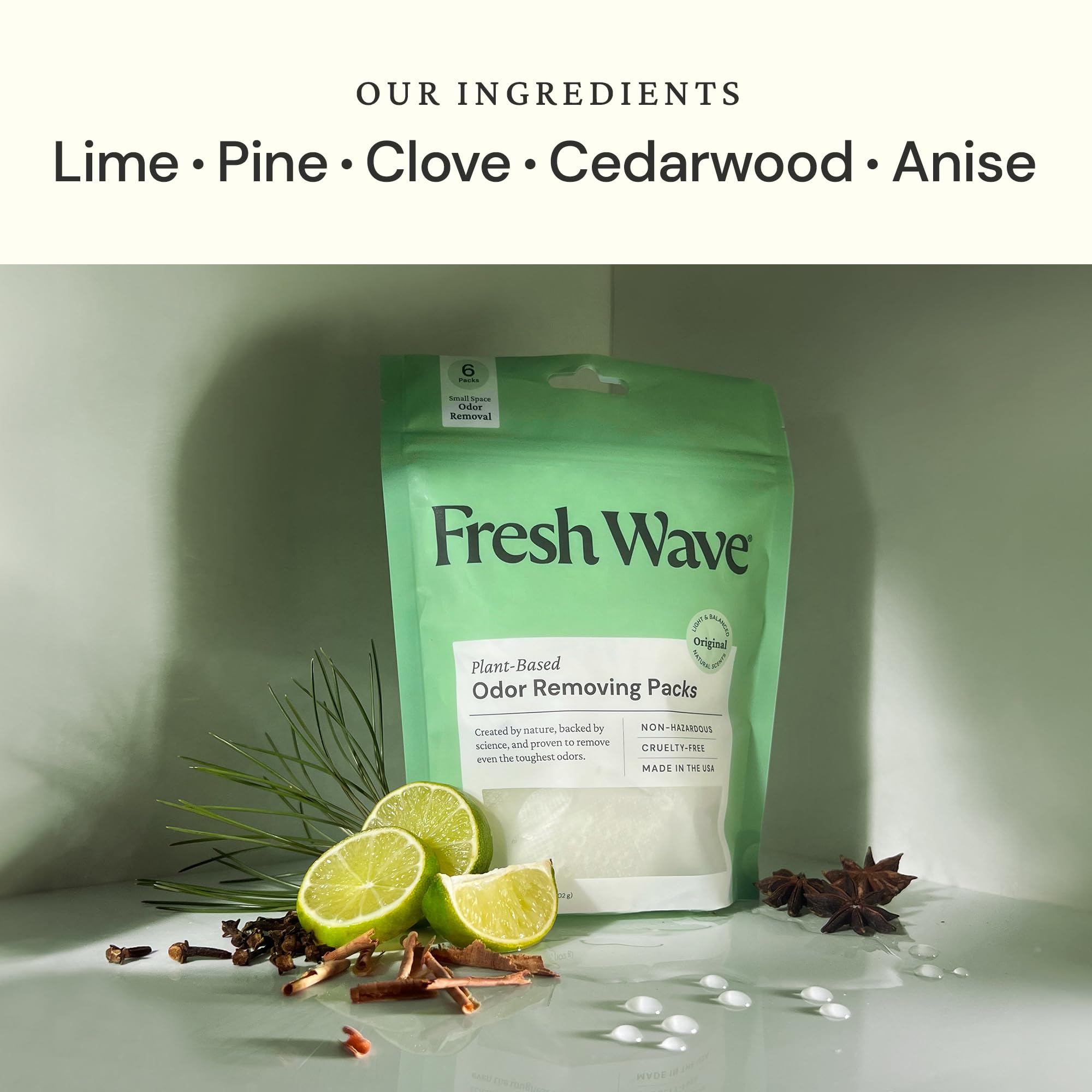Fresh Wave Original Odor Eliminating & Deodorizing Packs - Bag of 6 & Fresh Pod Case - Safer Odor Relief for Small Spaces, Natural Plant-Based Odor Eliminator, Odor Absorbers for Home