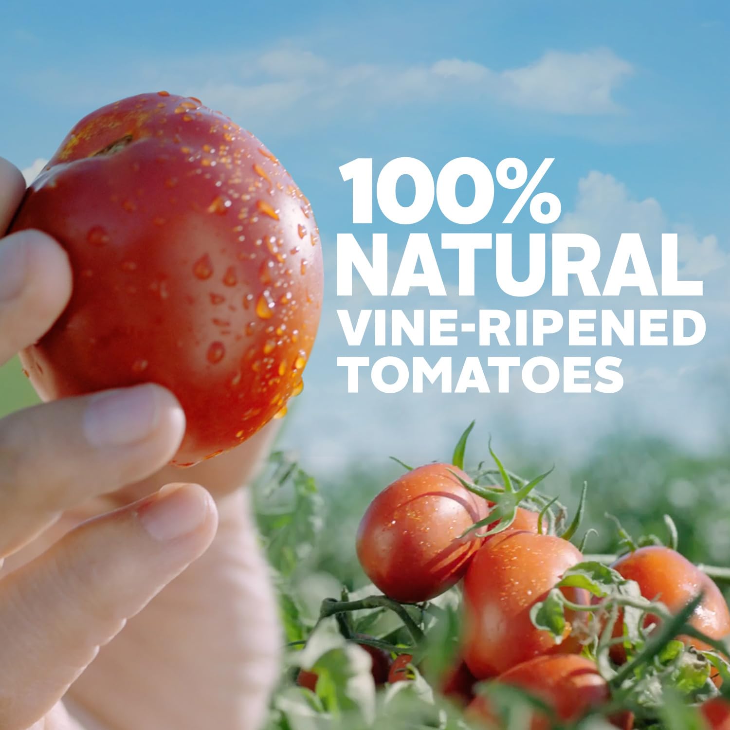 Hunt's 100% Natural Tomato Sauce, Canned Tomato Sauce, 15 Oz.
