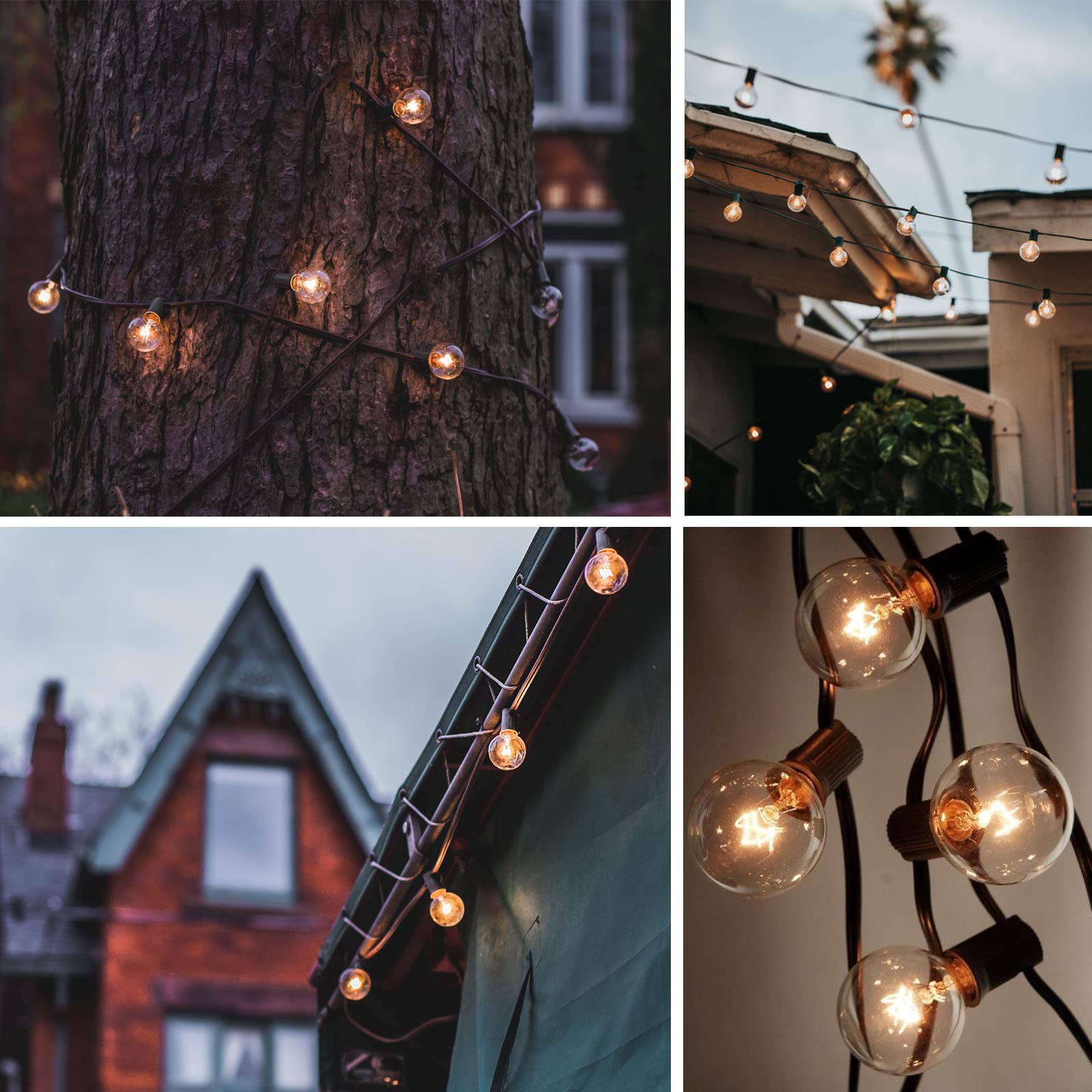 Wax Warmer Bulbs 6 Pack, G50 25 Watt Light Bulbs for Full Size Scentsy Warmers, E12 Base G16.5 Globe Clear Bulb for Candle Wax Warmer, Long Lifespan, 120 Volt