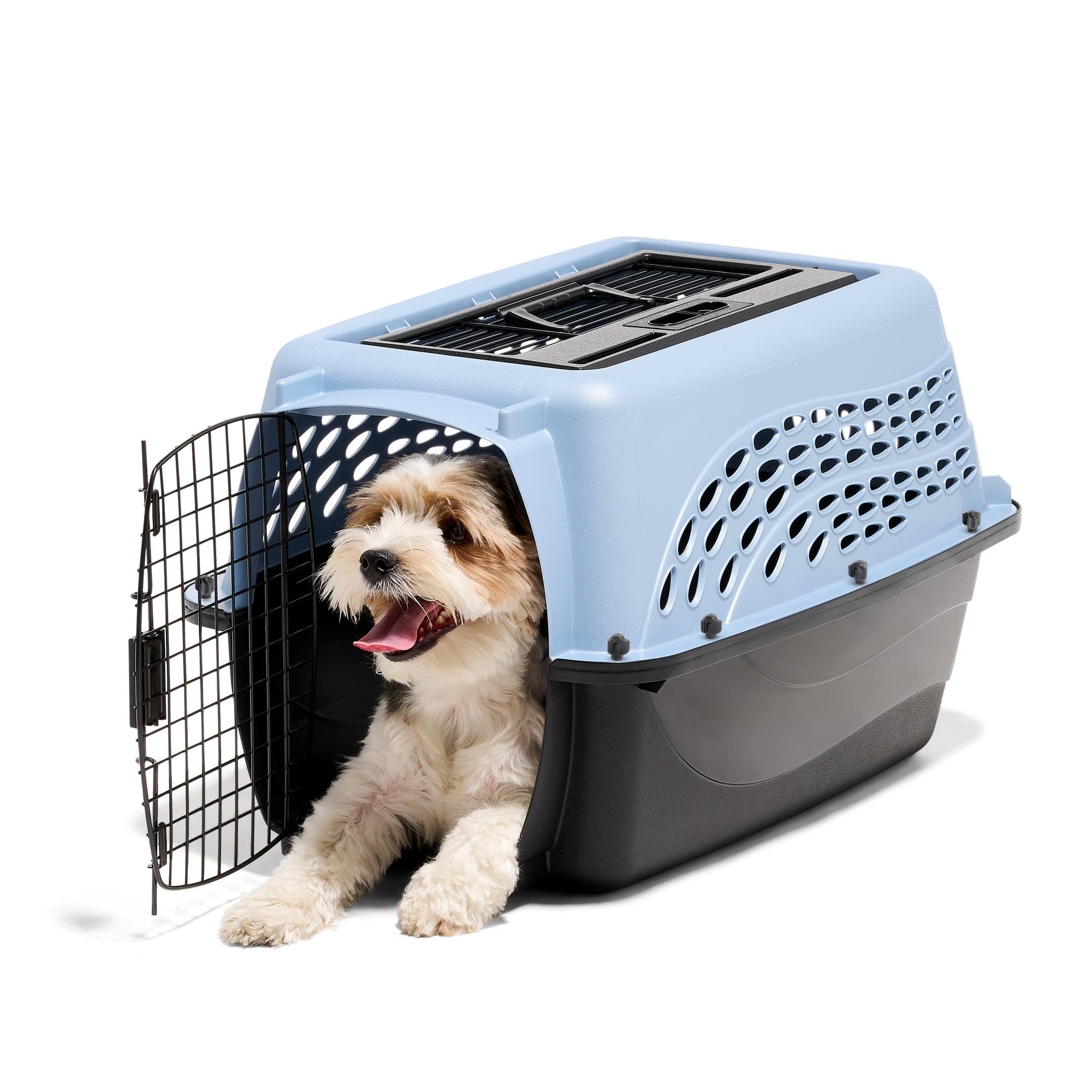 Petmate Dog Crates for Small Dogs & Cat Carriers, Two-Door Plastic Pet Kennel, Top & Front Loading, Made in USA, 24", Blue