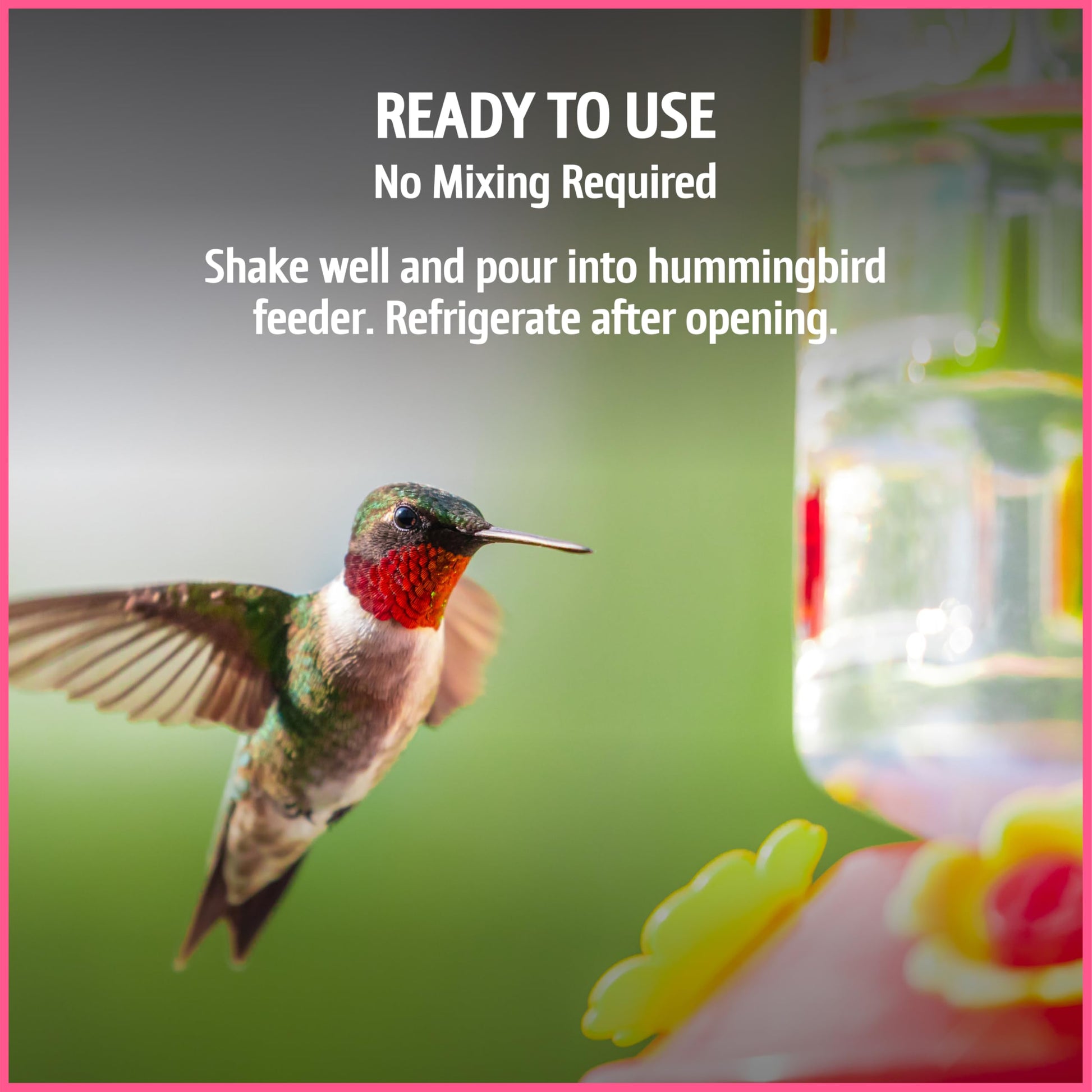 Pennington 100543828 ElectroNectar Hummingbird Food Ready to Use, Clear